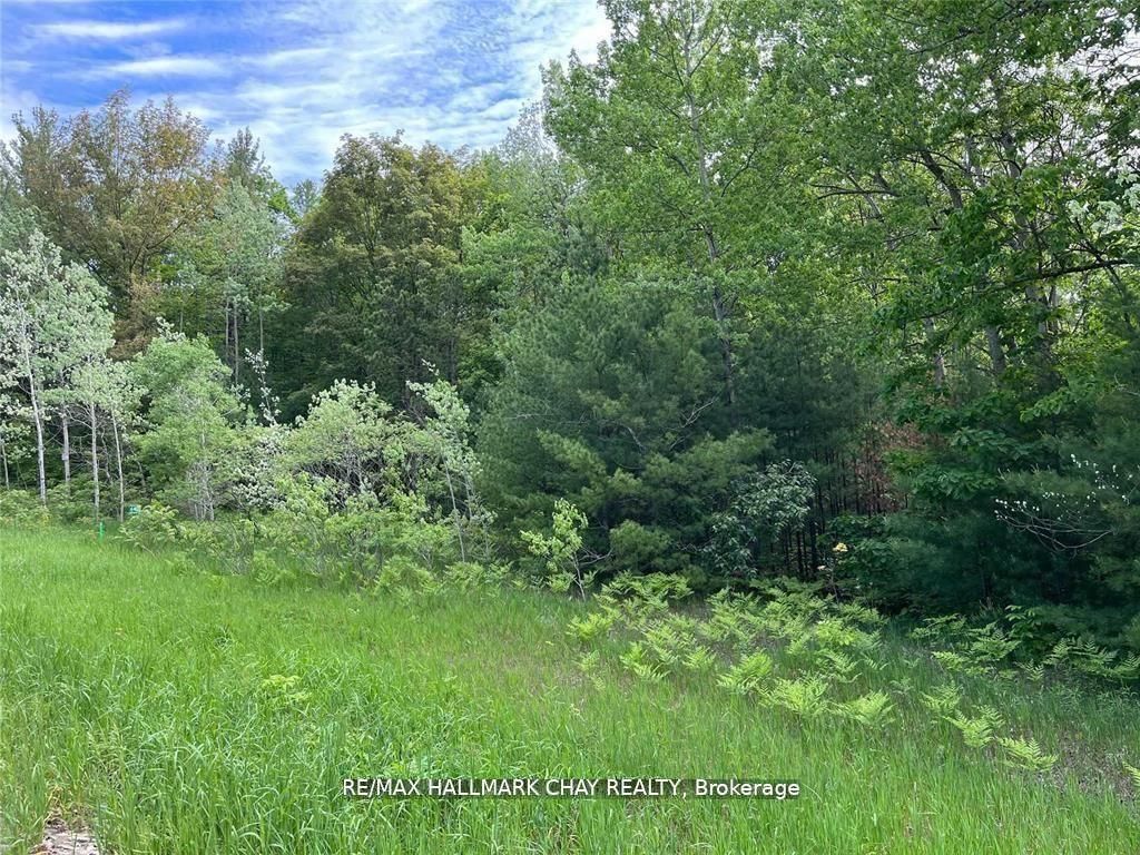 6411 Concession 4 Road Property Photo 6