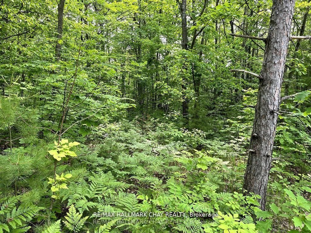 6411 Concession 4 Road Property Photo 7