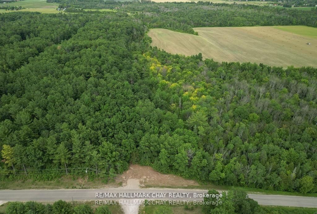 6411 Concession 4 Road Property Photo 9