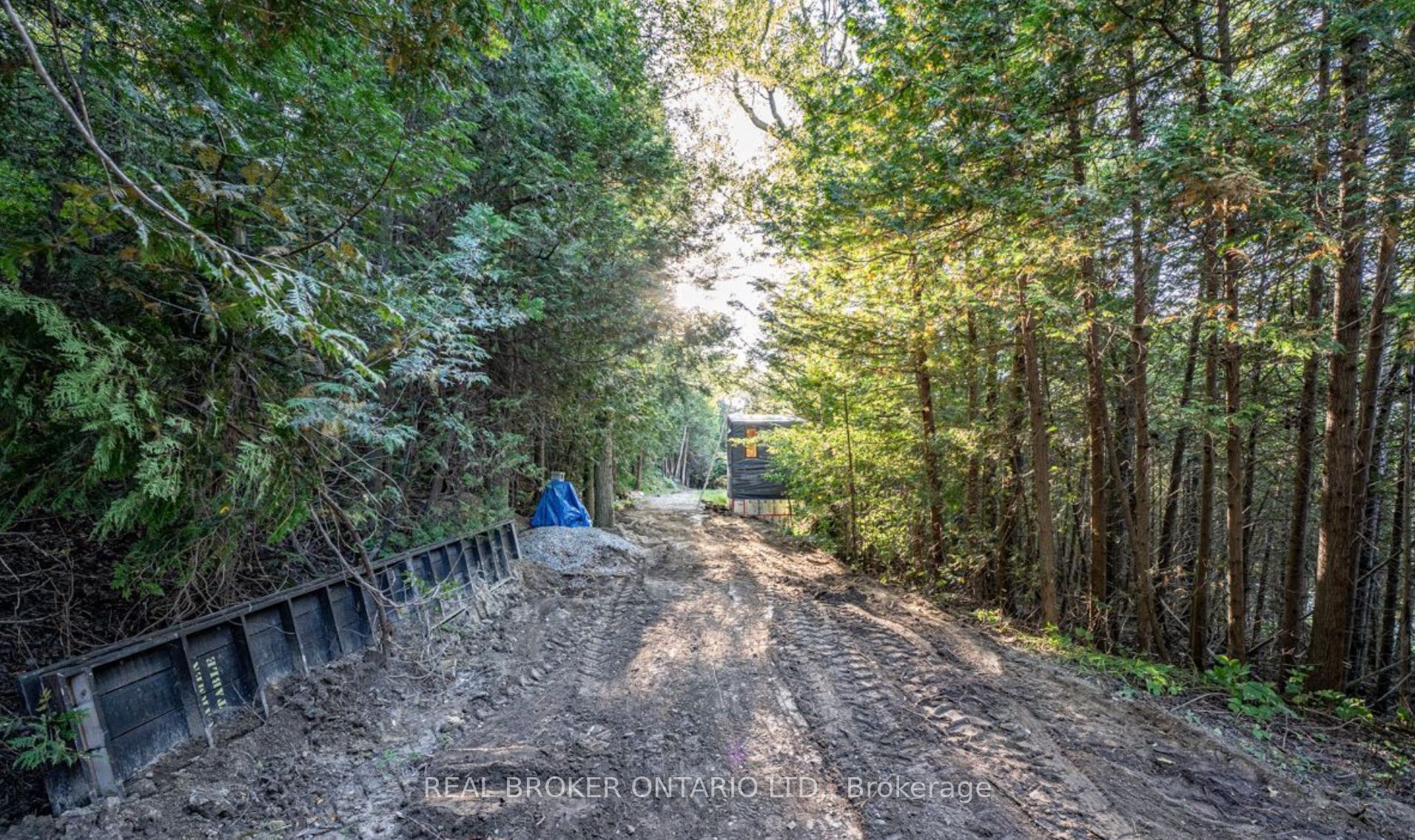 5703 10th Sideroad Property Photo 3