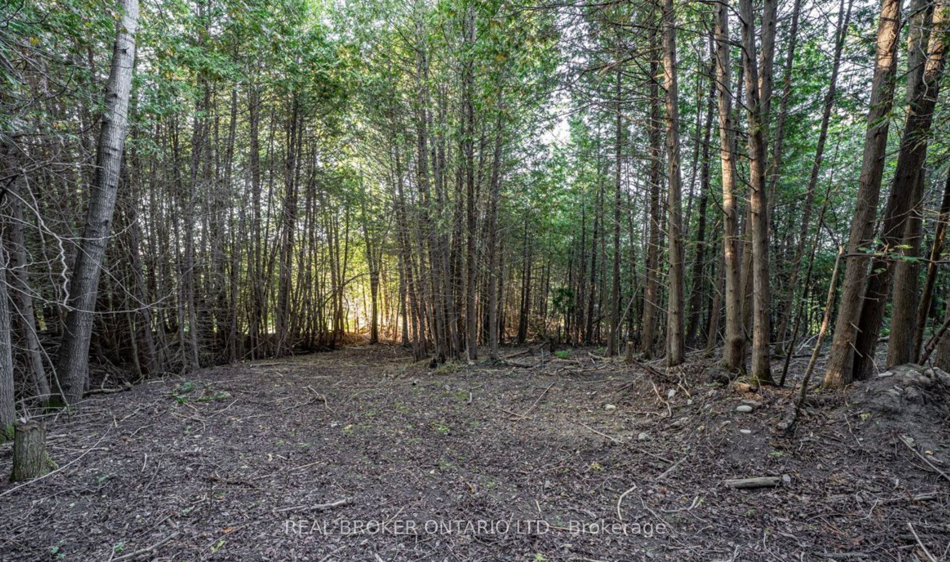 5703 10th Sideroad Property Photo 10