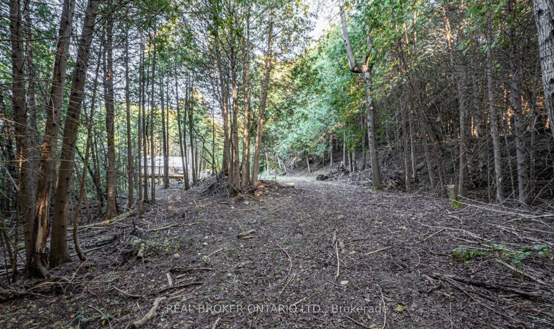 5703 10th Sideroad Property Photo 11