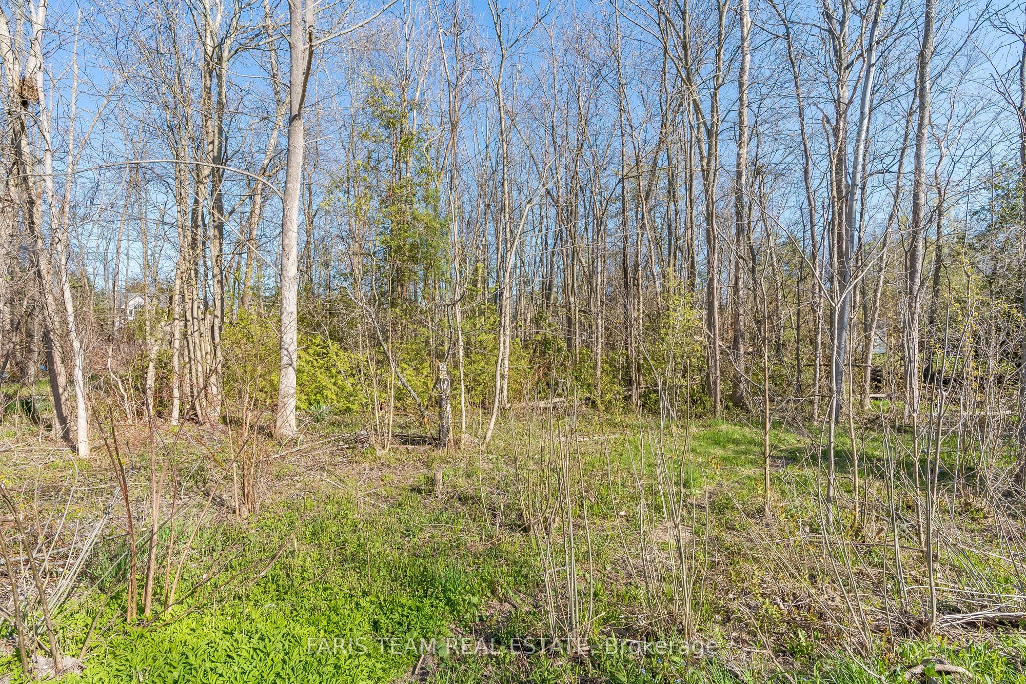 Lot 81 And 82 East Street Property Photo 2