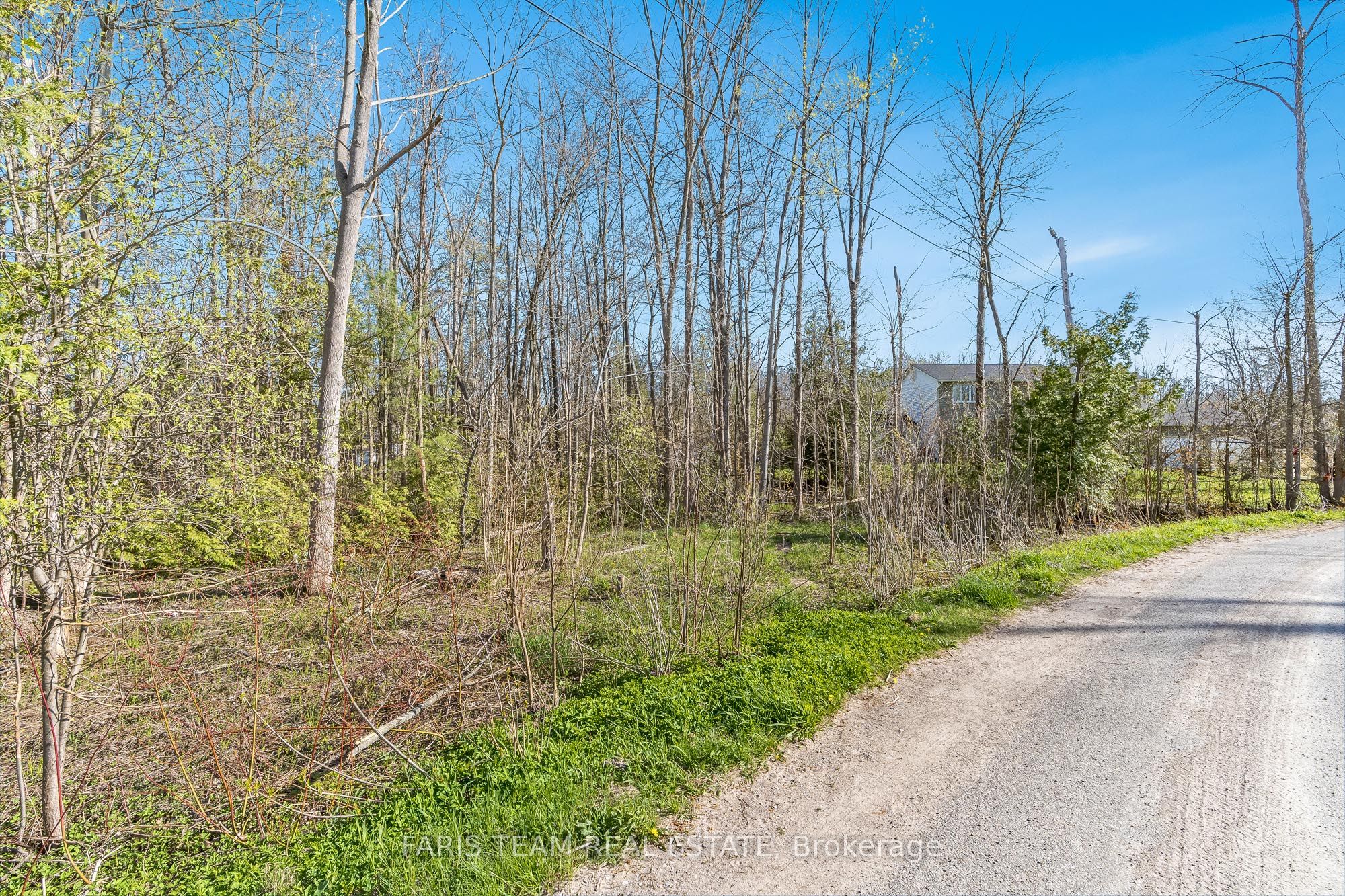 Lot 81 And 82 East Street Property Photo 3