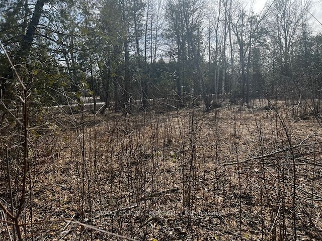 122-123 Riverview Beach Road Property Photo 4