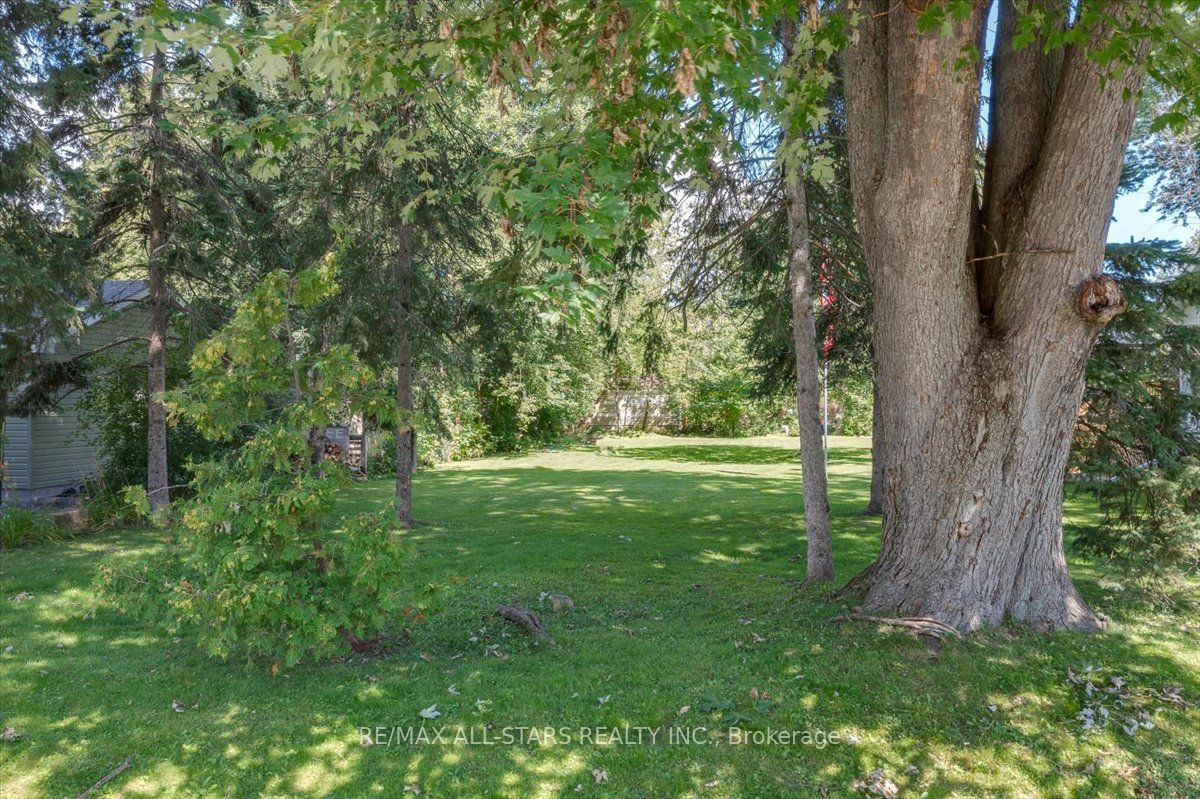 288 Woodycrest Ave Property Photo 3