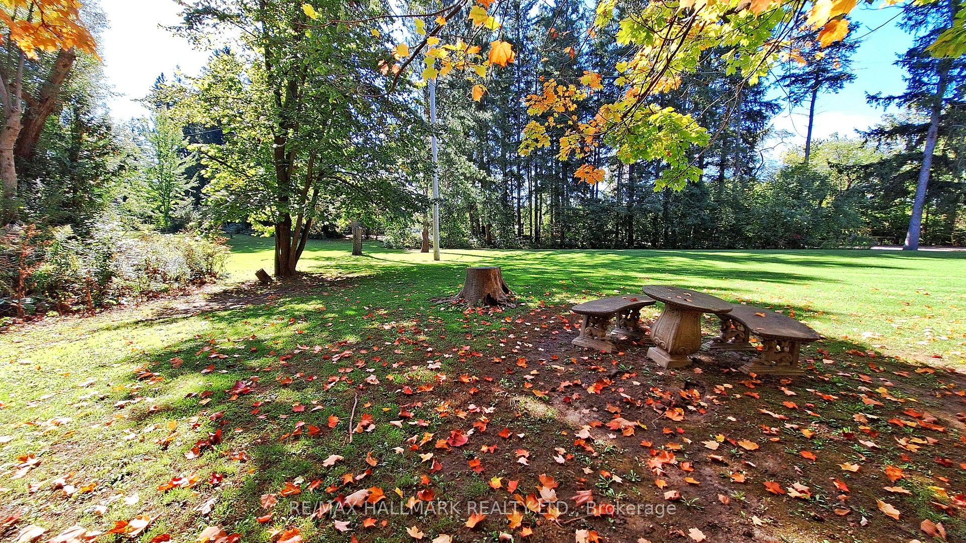 4138 19th Avenue Property Photo 20