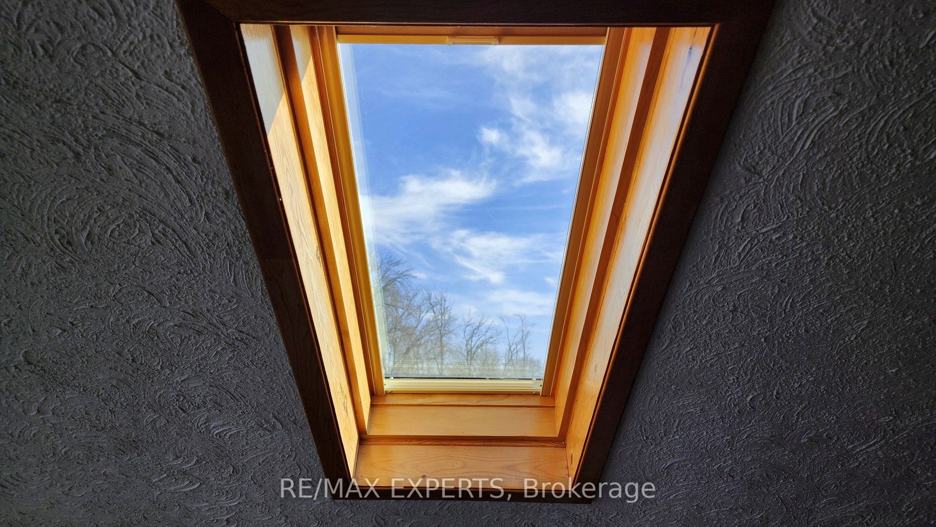 319 Limerick Street Property Photo 38