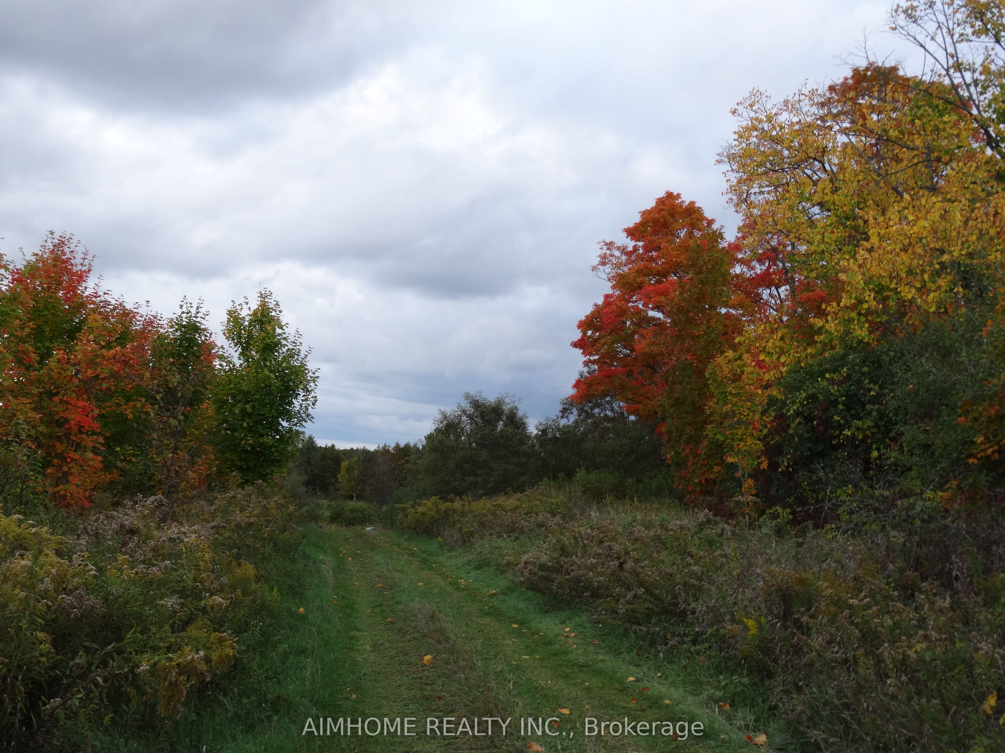 10400 And 10800 6th Concession Property Photo 1