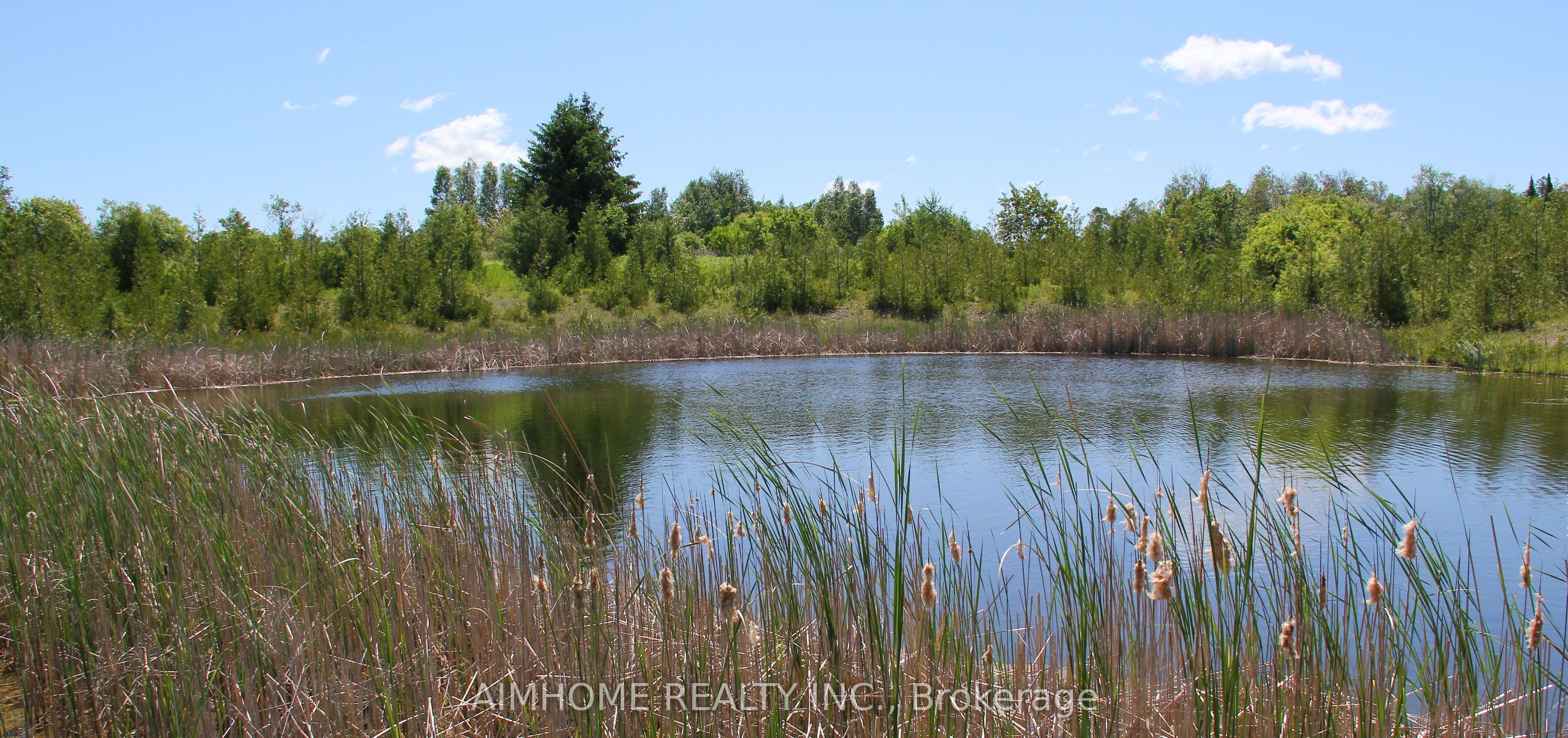 10400 And 10800 6th Concession Property Photo 2