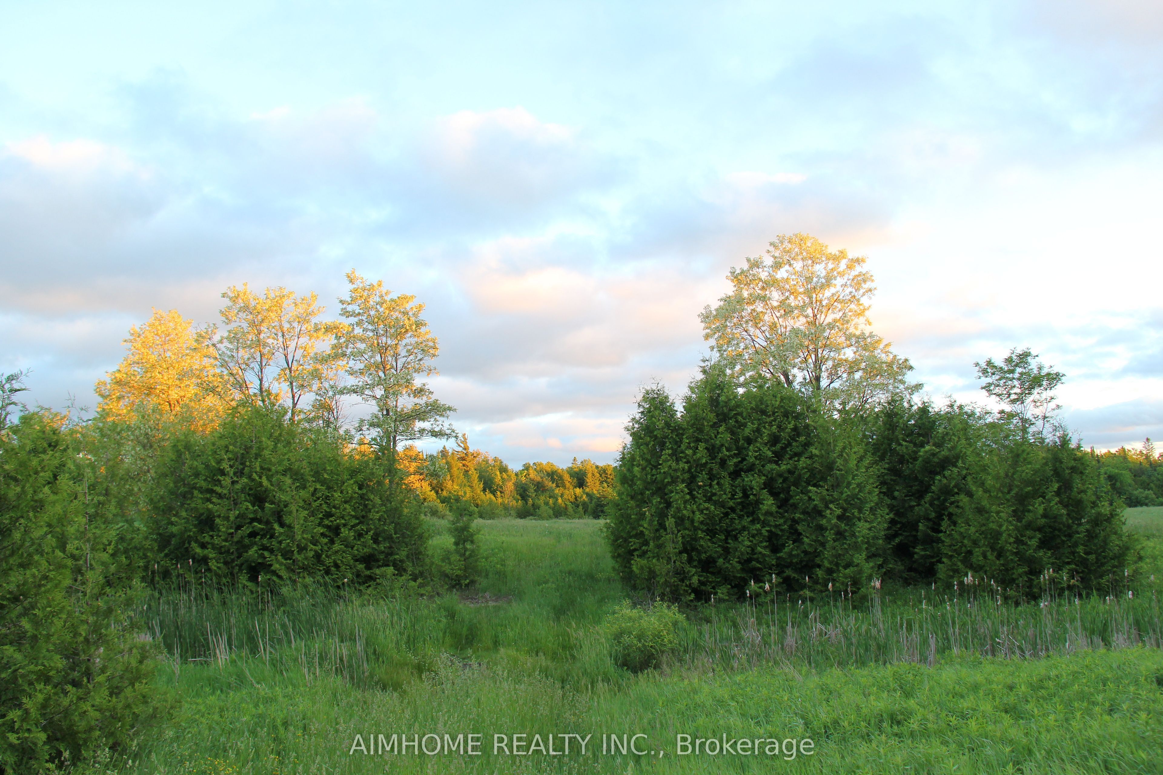 10400 And 10800 6th Concession Property Photo 3