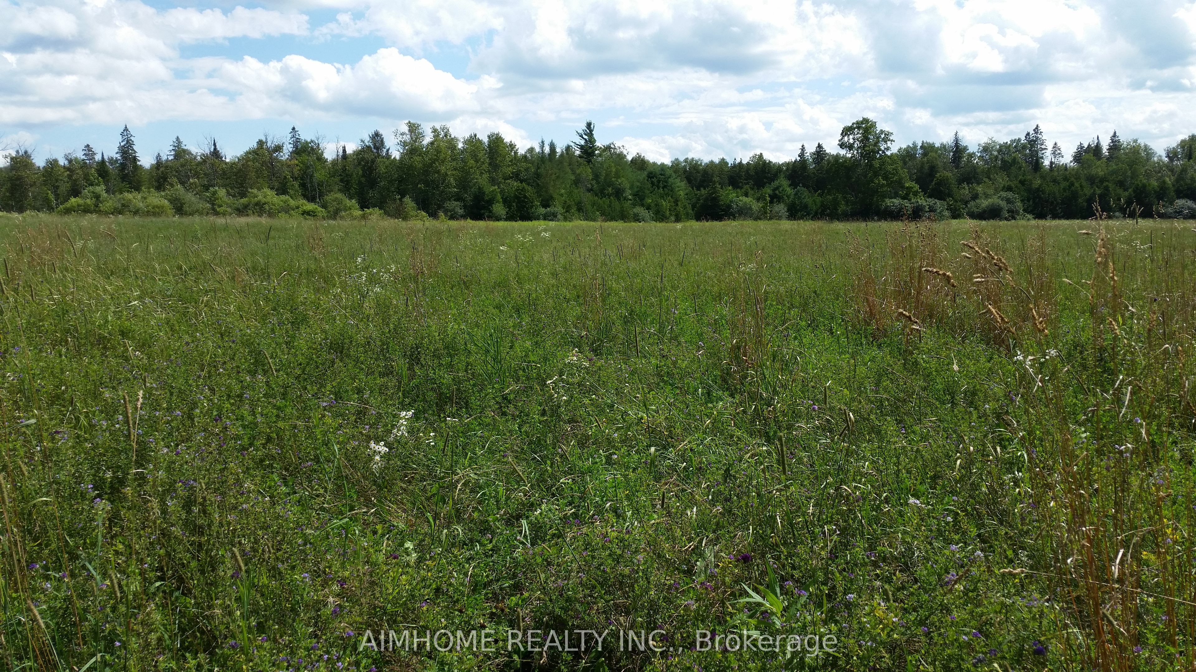 10400 And 10800 6th Concession Property Photo 6