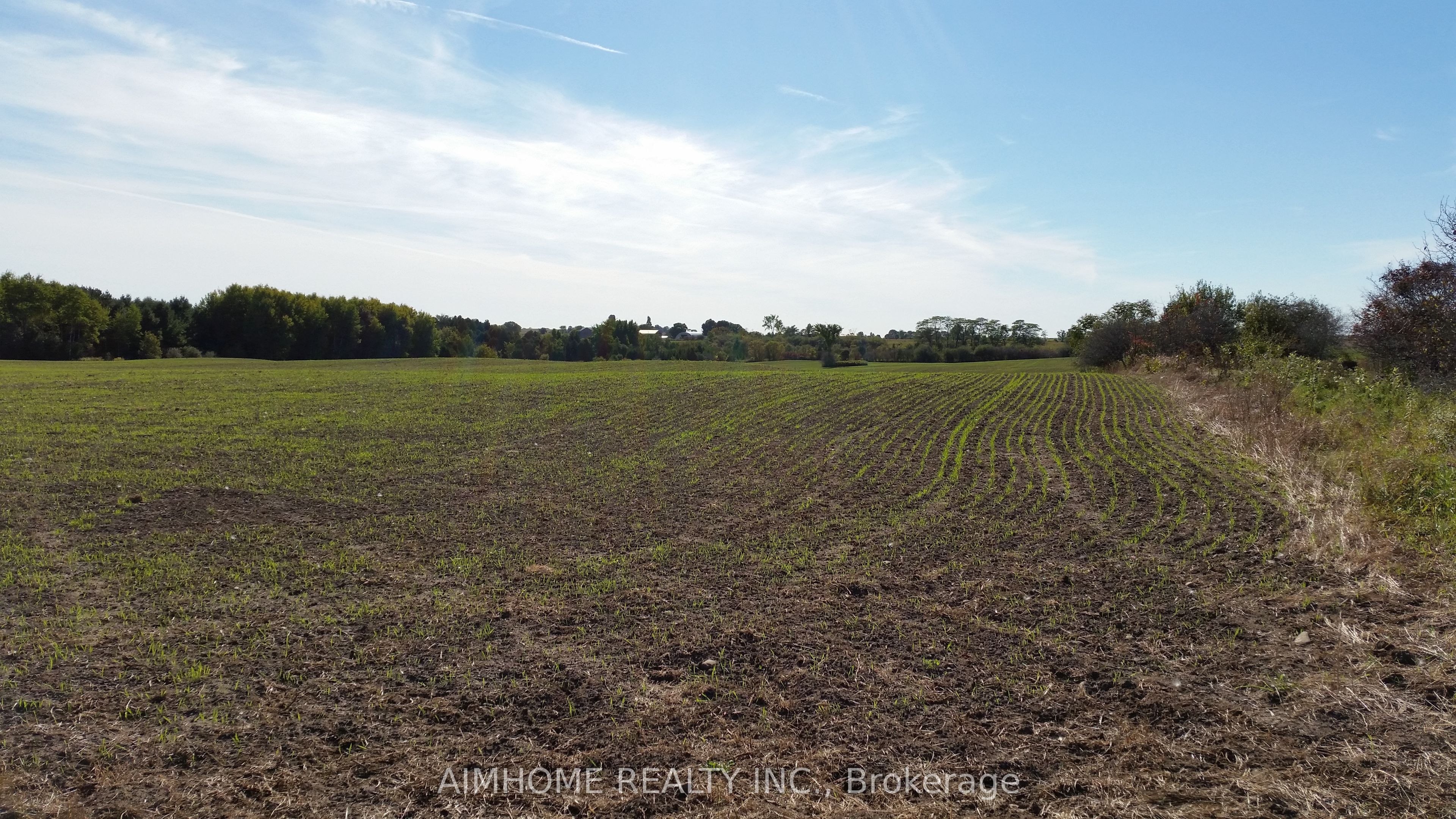 10400 And 10800 6th Concession Property Photo 9