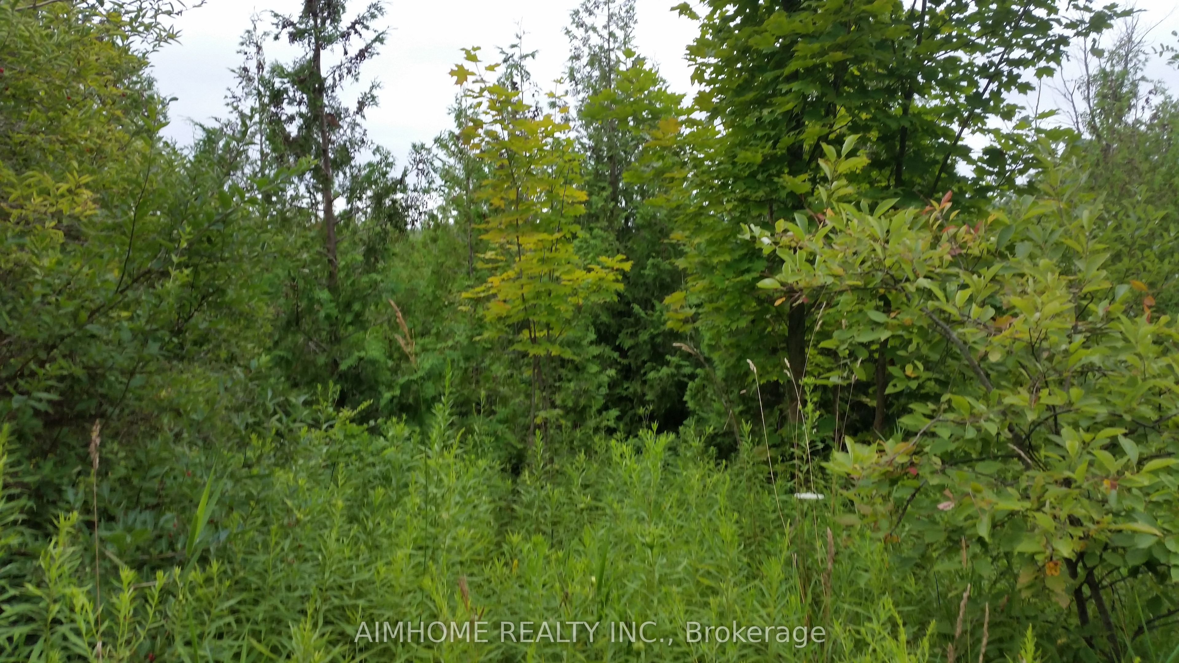 10400 And 10800 6th Concession Property Photo 11
