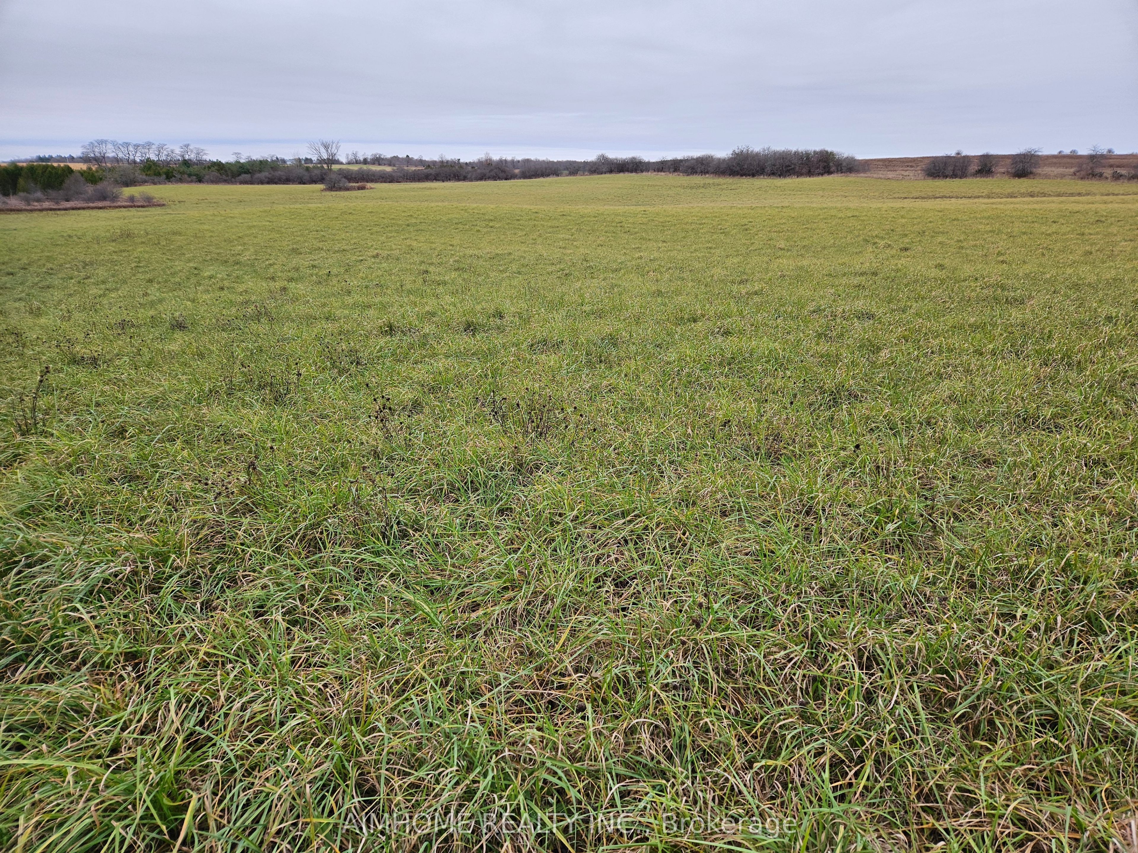 10400 And 10800 6th Concession Property Photo 11