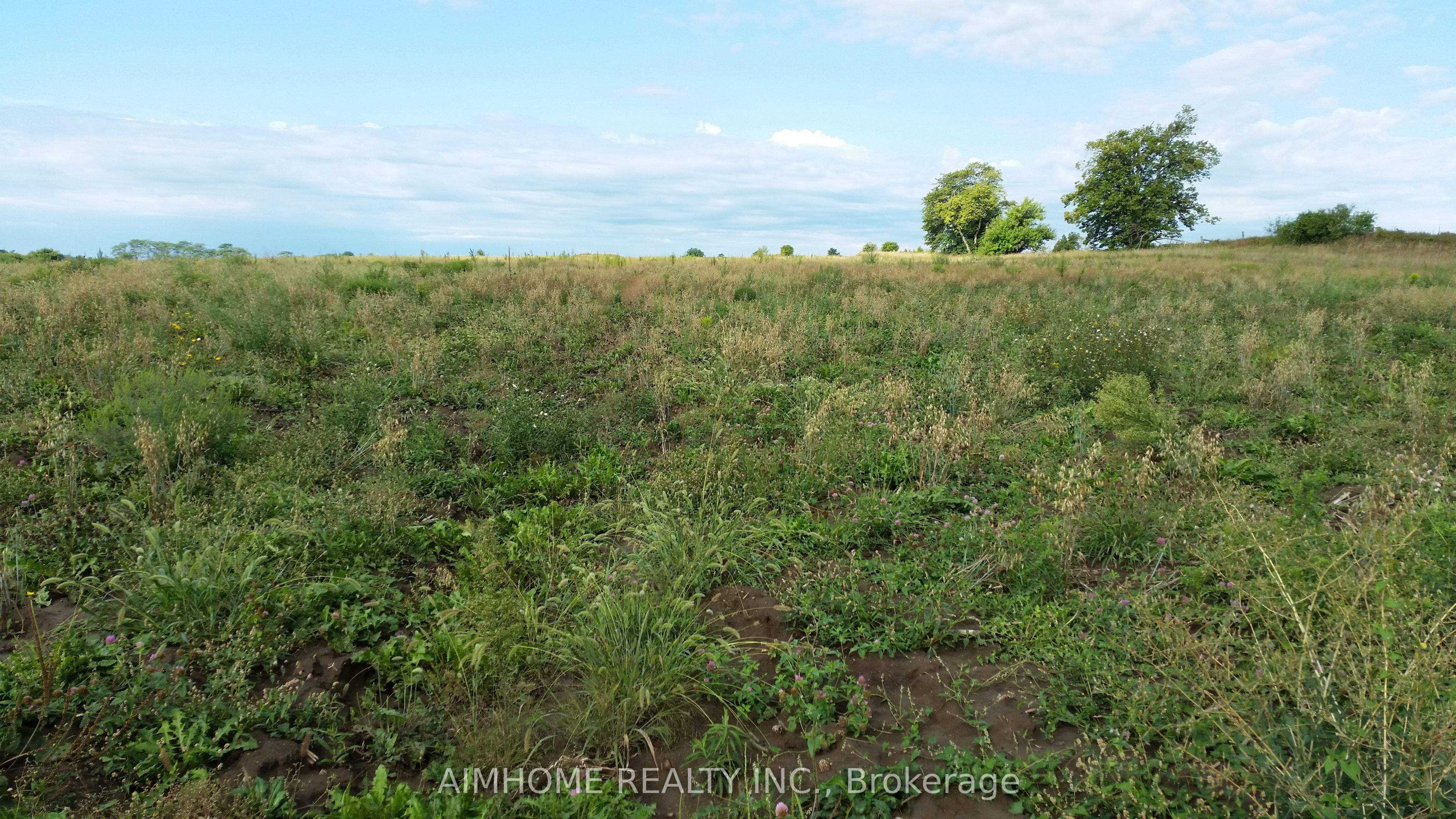10400 And 10800 6th Concession Property Photo 16