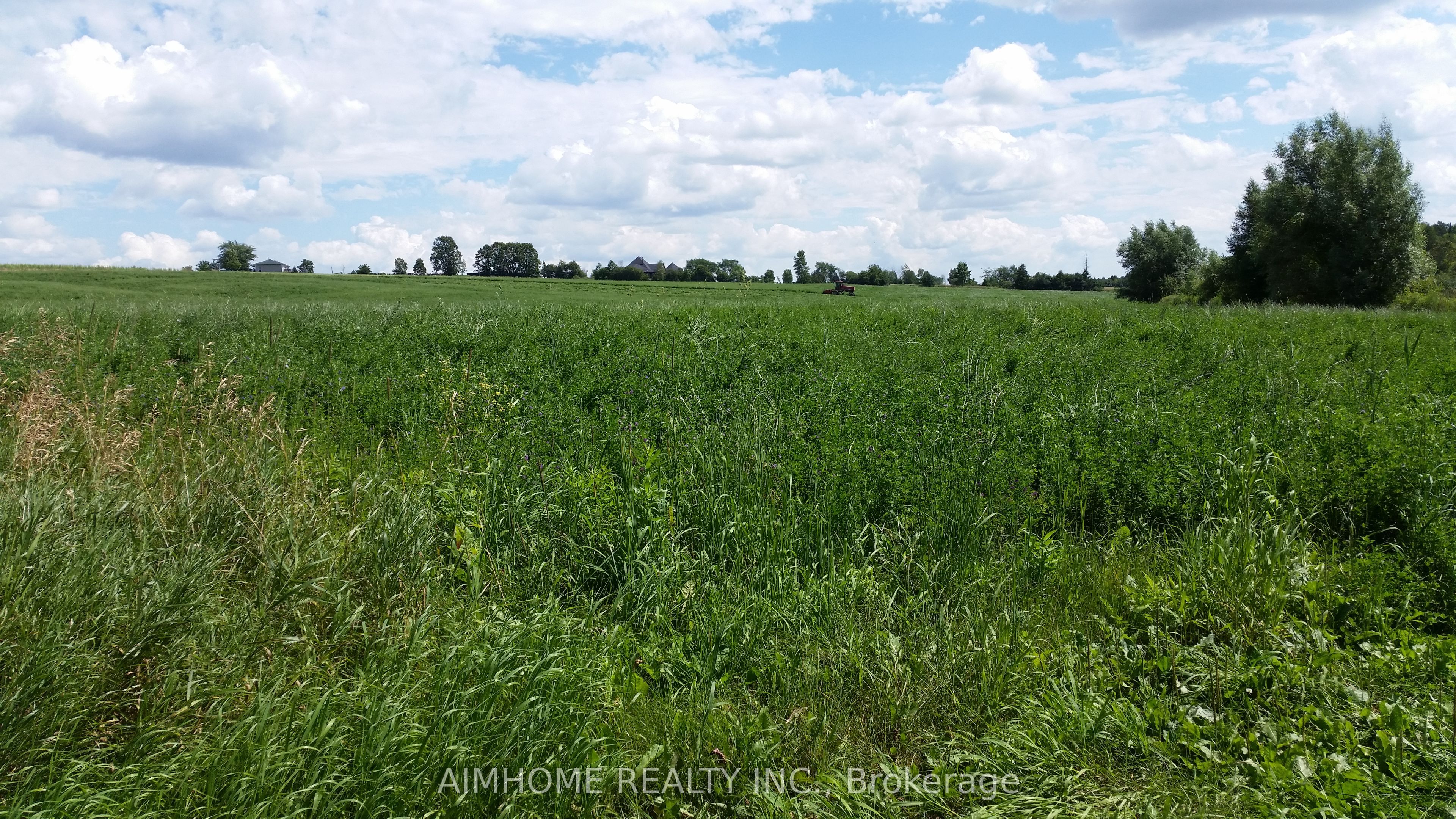 10400 And 10800 6th Concession Property Photo 18