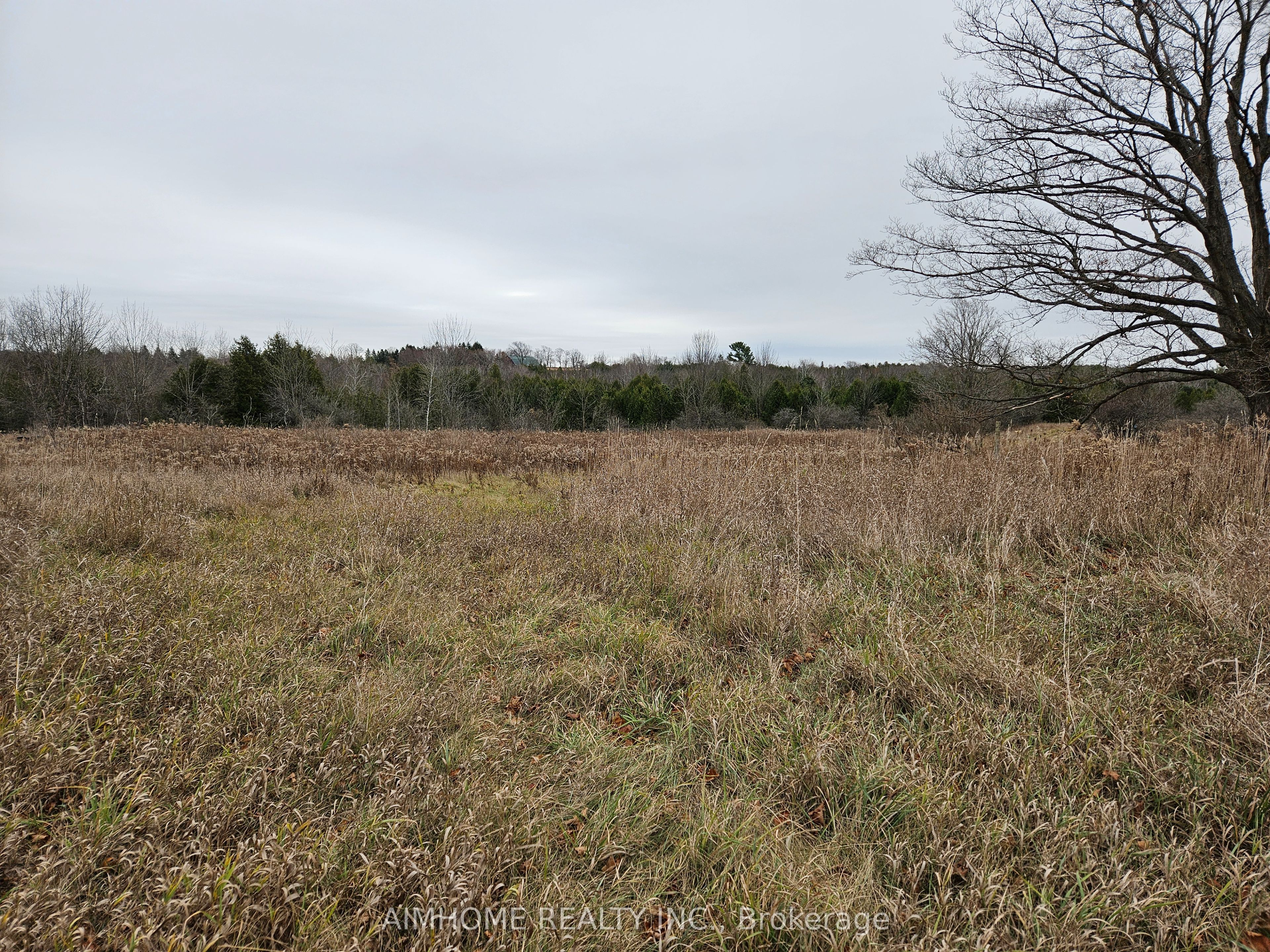 10400 And 10800 6th Concession Property Photo 22