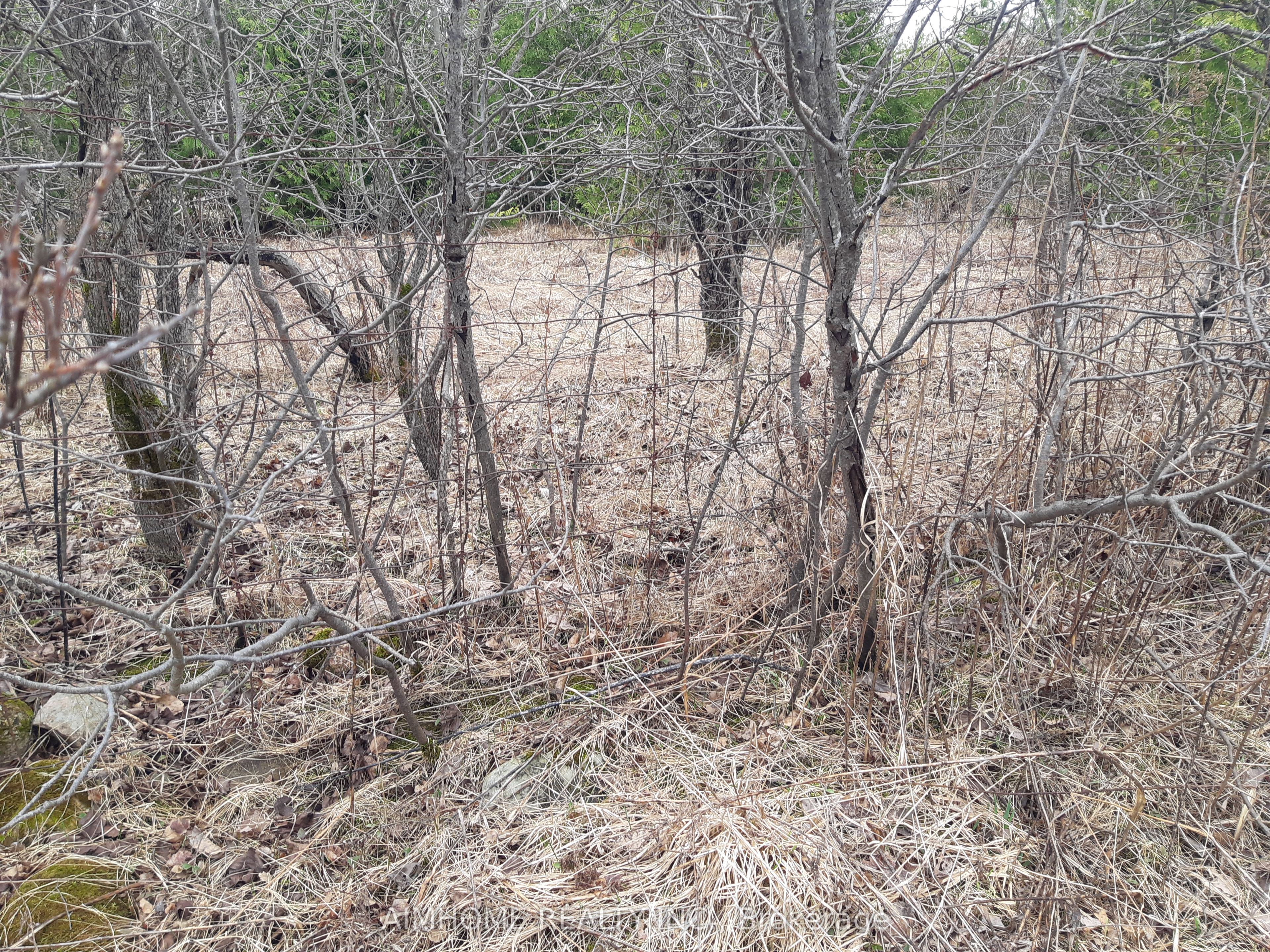 10400 And 10800 6th Concession Property Photo 23