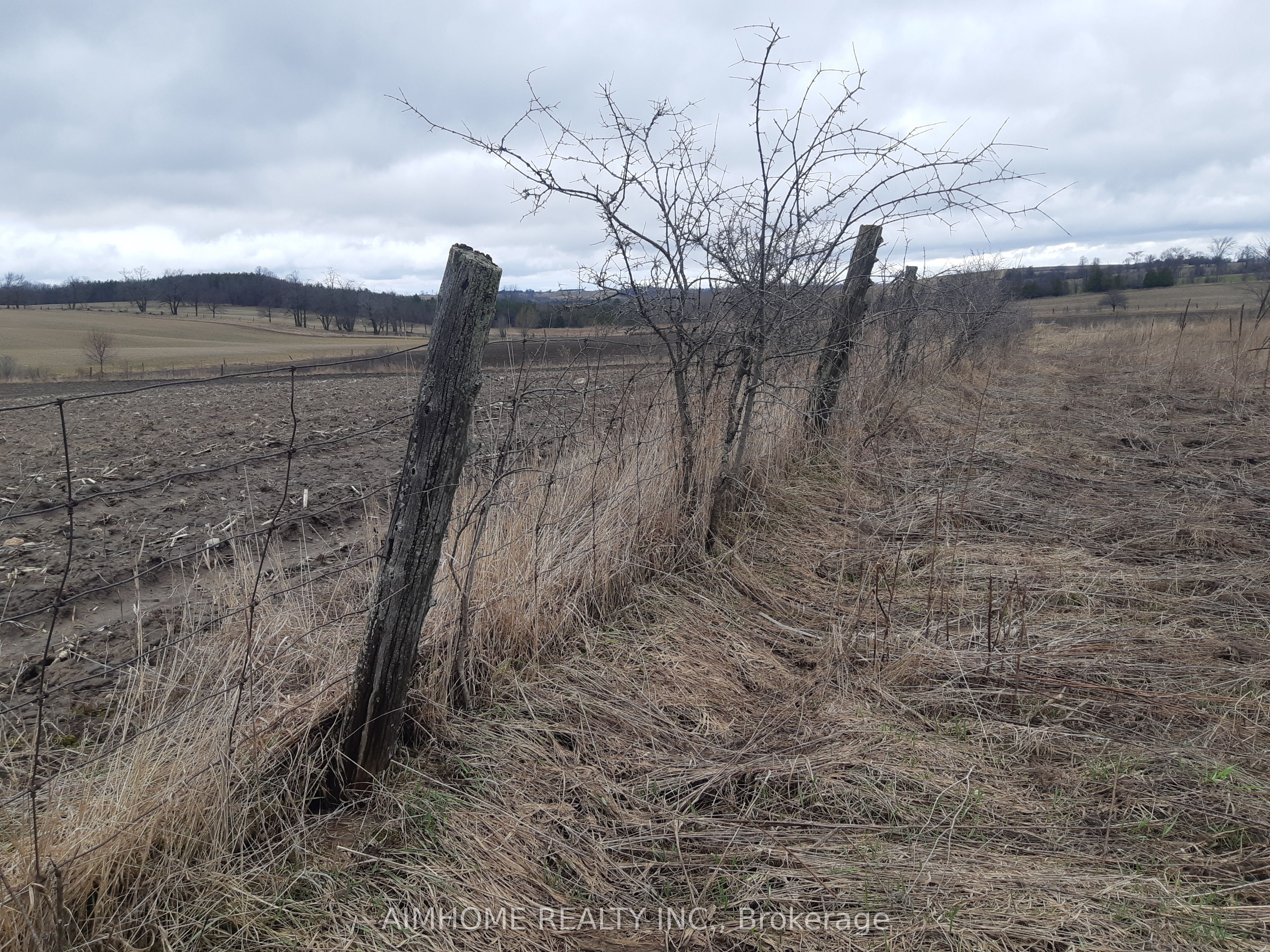 10400 And 10800 6th Concession Property Photo 24