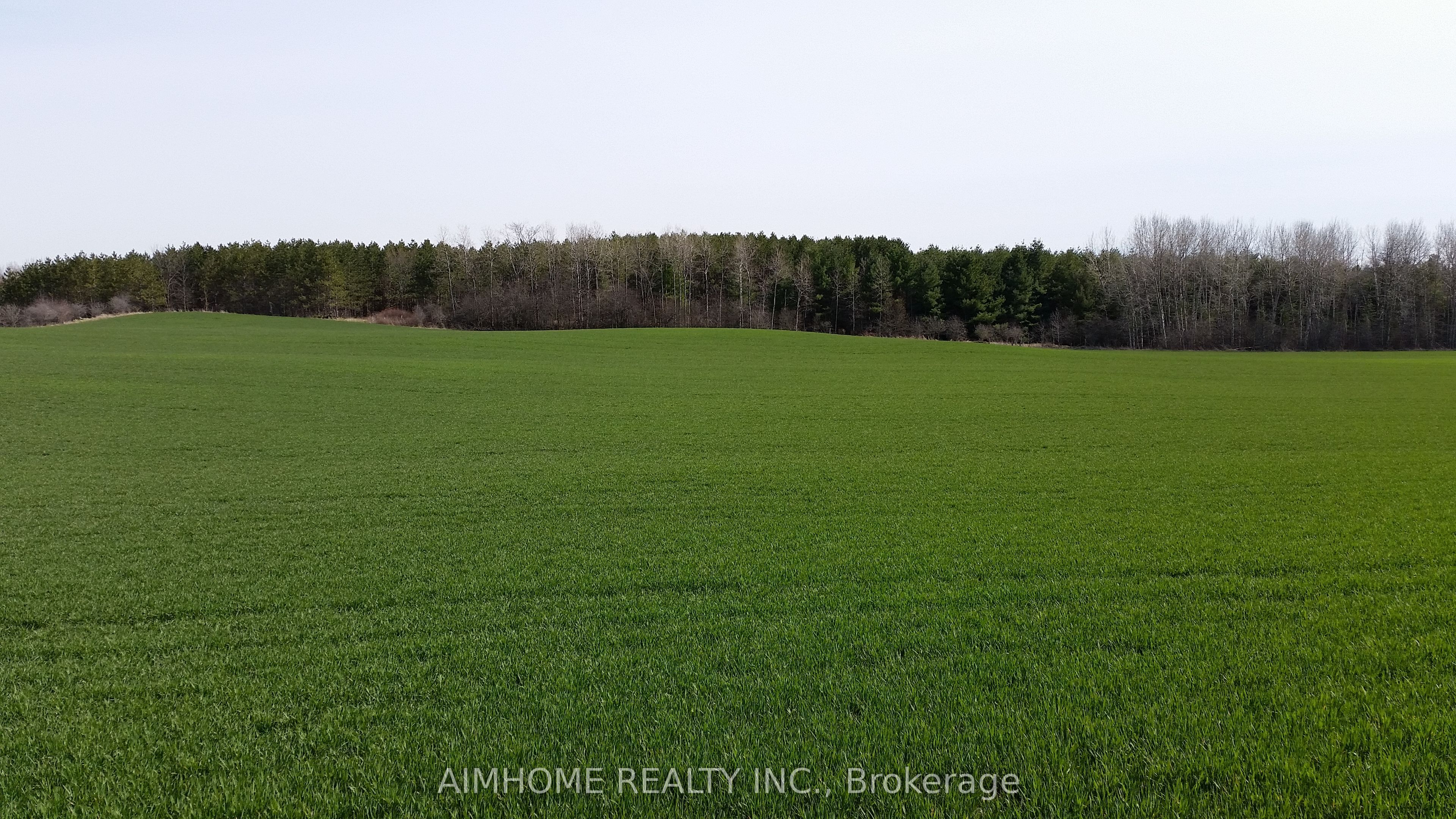 10400 And 10800 6th Concession Property Photo 30