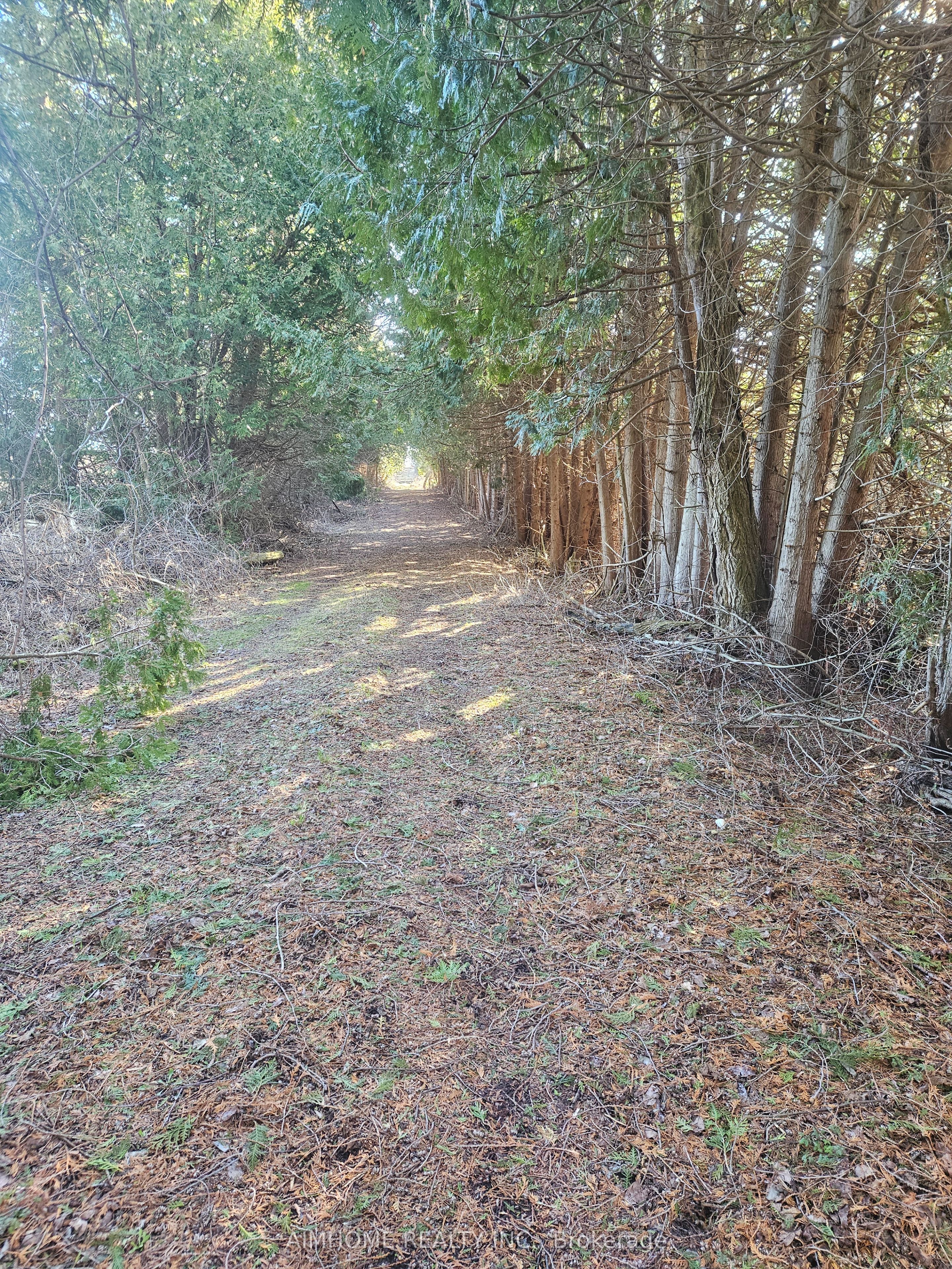 10400 And 10800 6th Concession Property Photo 39