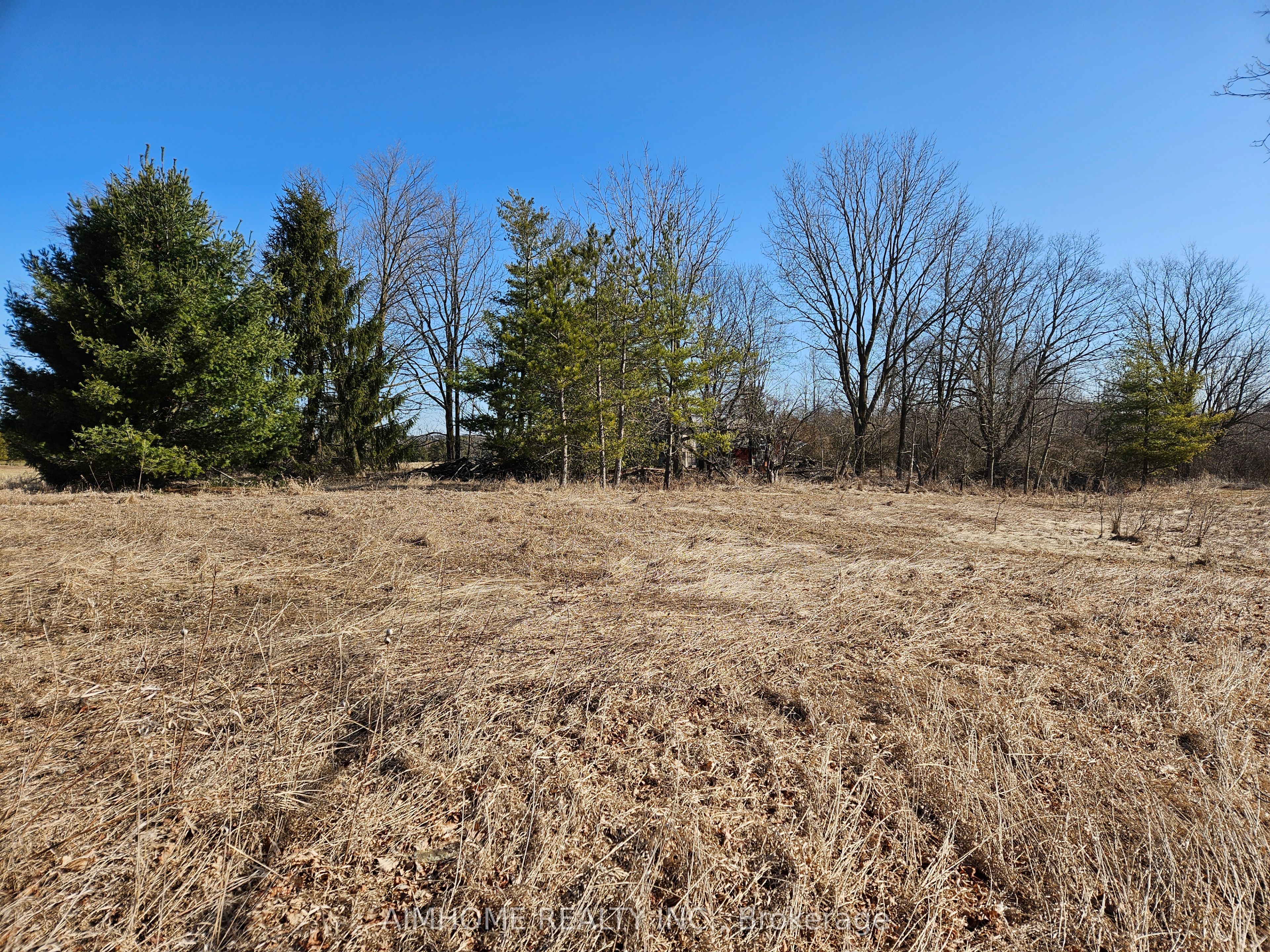 10400 And 10800 6th Concession Property Photo 41