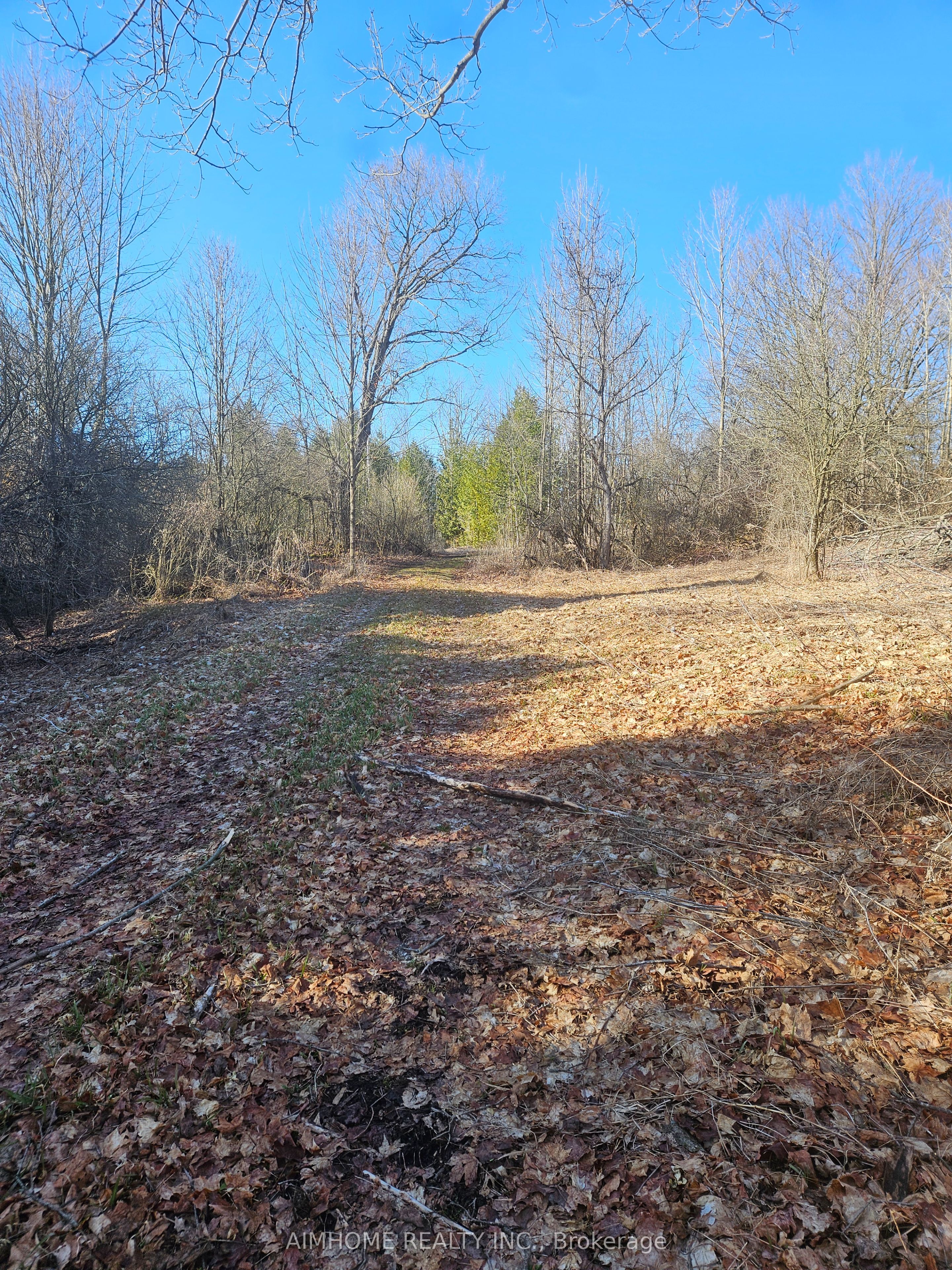 10400 And 10800 6th Concession Property Photo 42