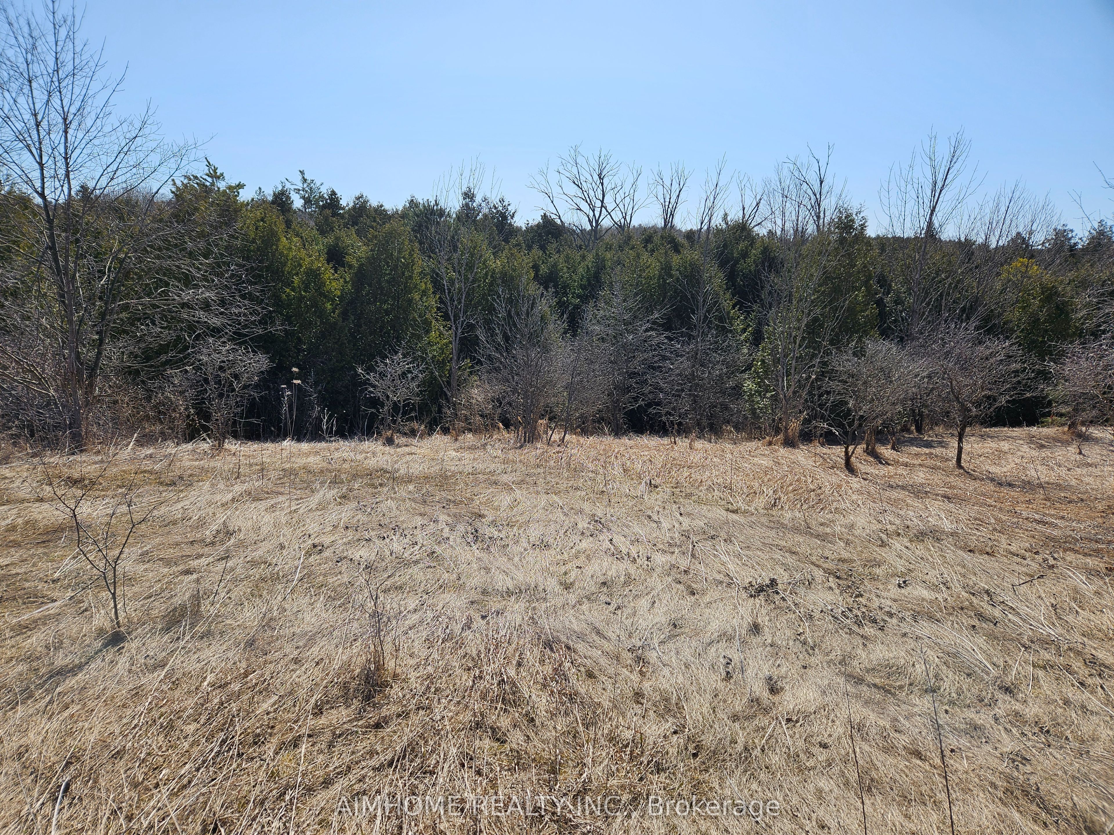 10400 And 10800 6th Concession Property Photo 43
