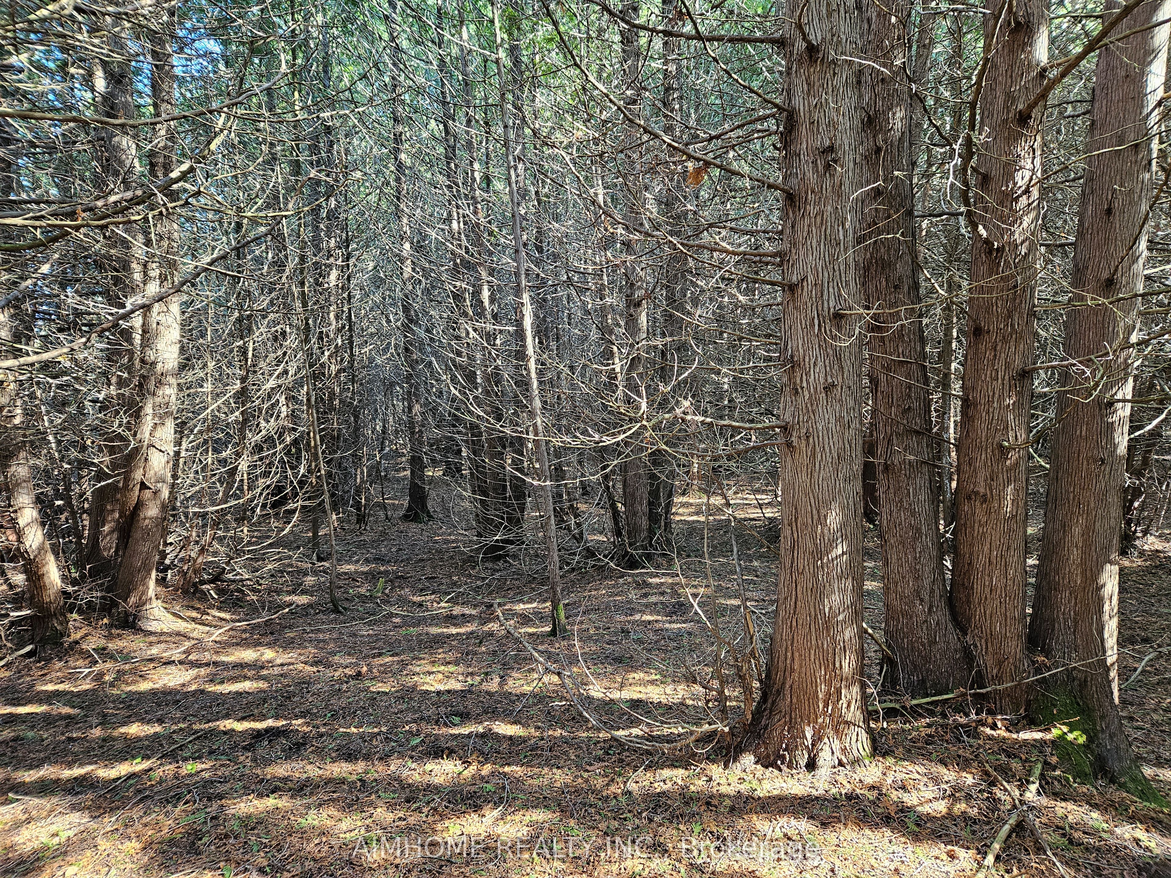 10400 And 10800 6th Concession Property Photo 45