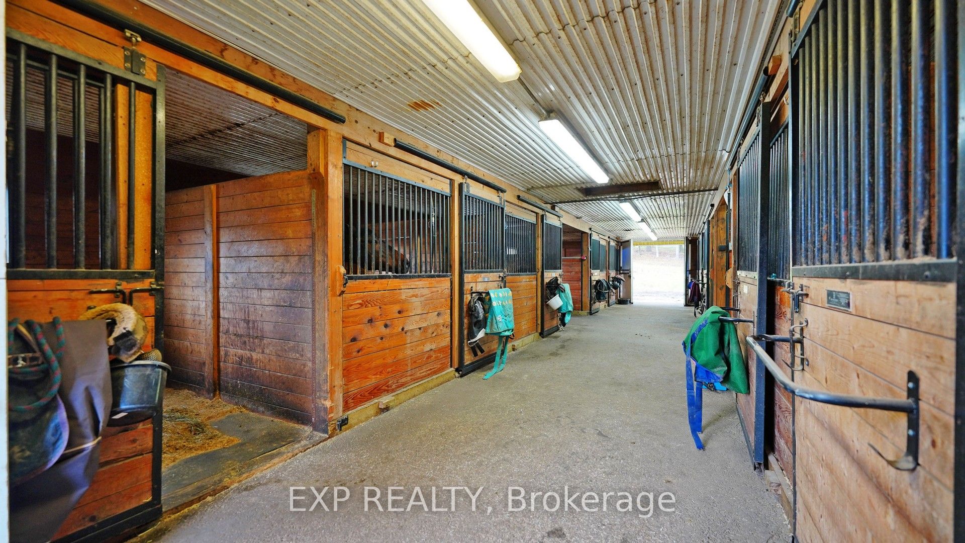 3125 Vandorf Side Road Property Photo 25