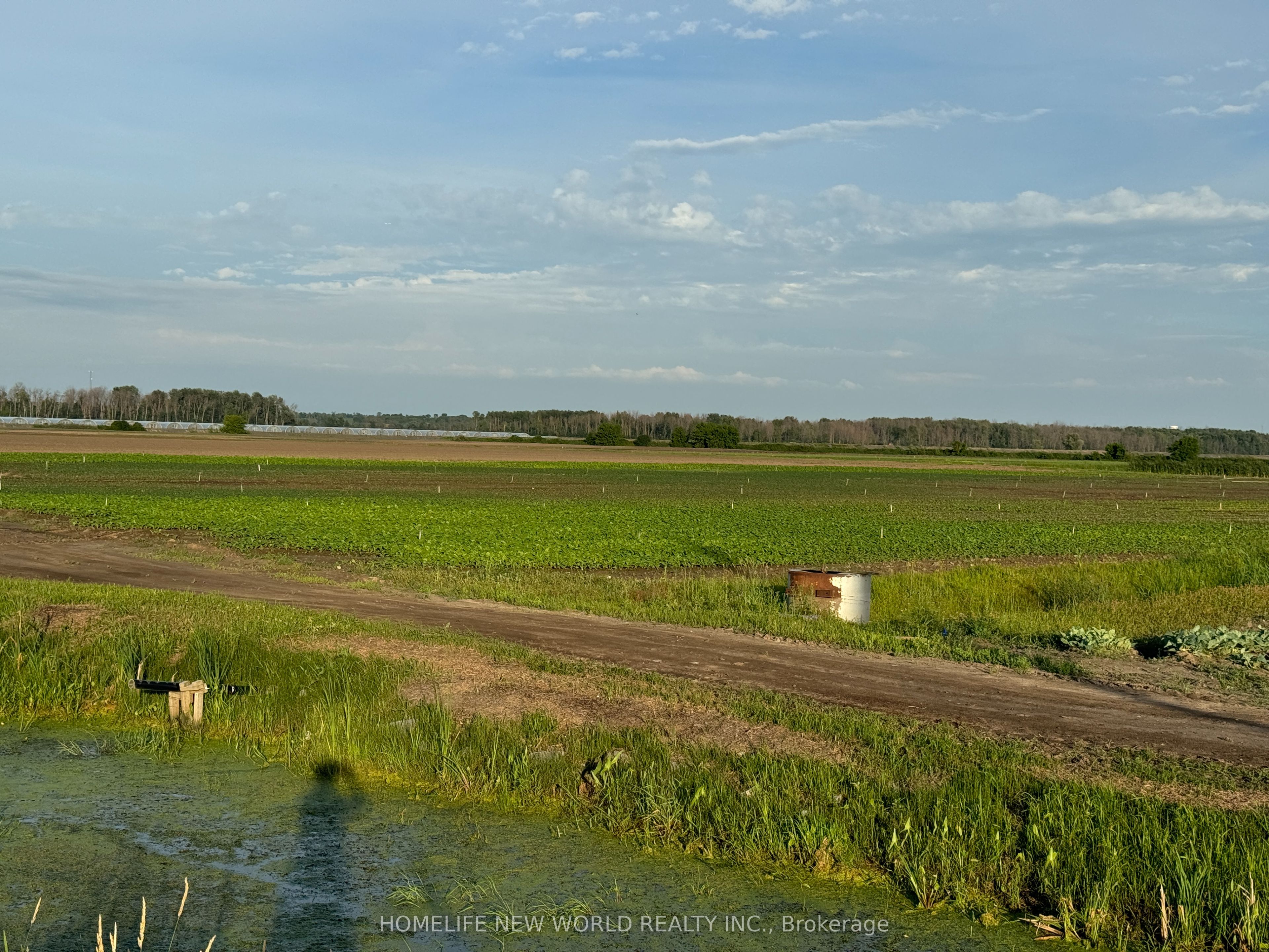 571 Ravenshoe Road Property Photo 3