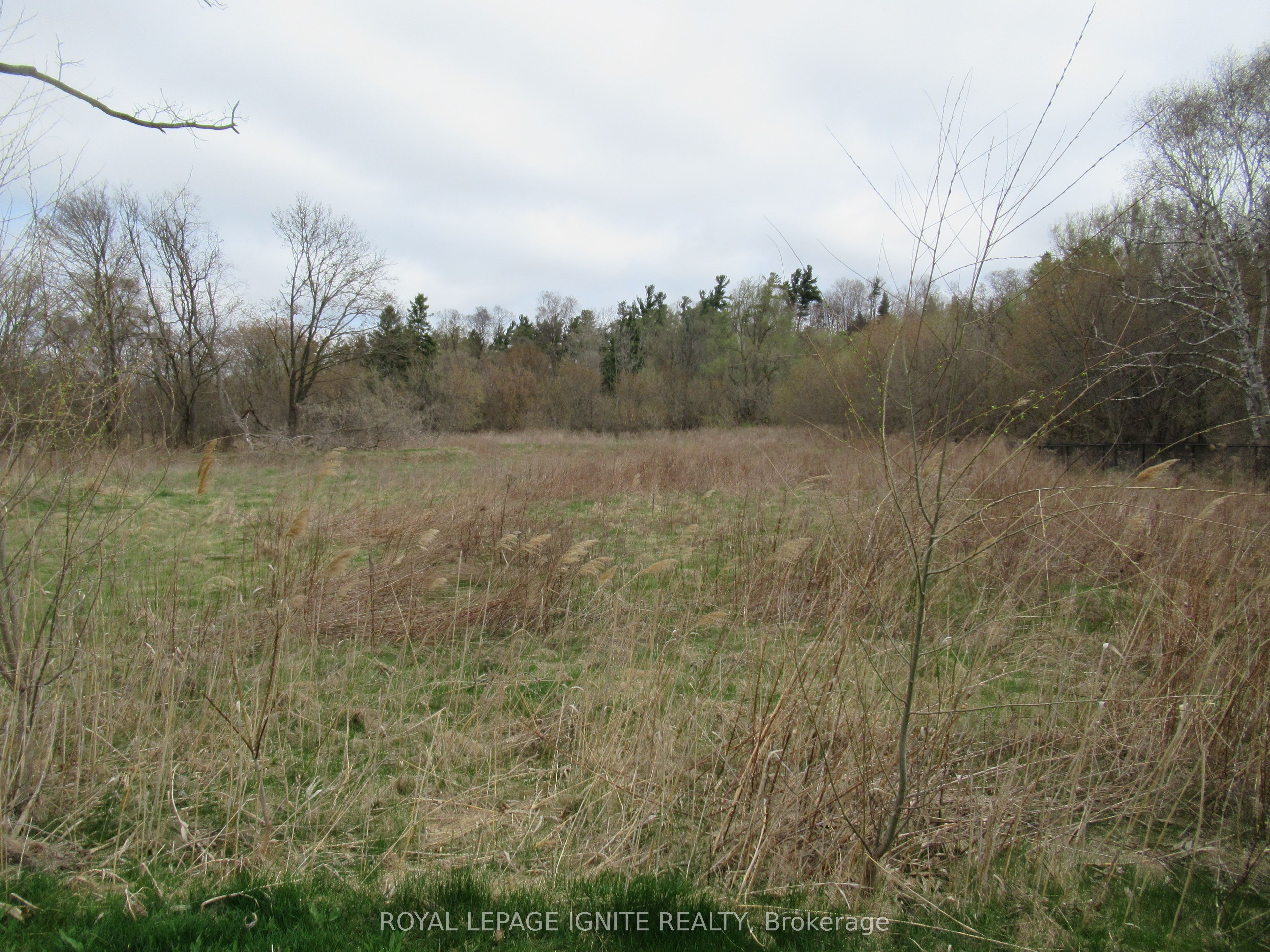 196 Pine Grove Road 13 Property Photo 17