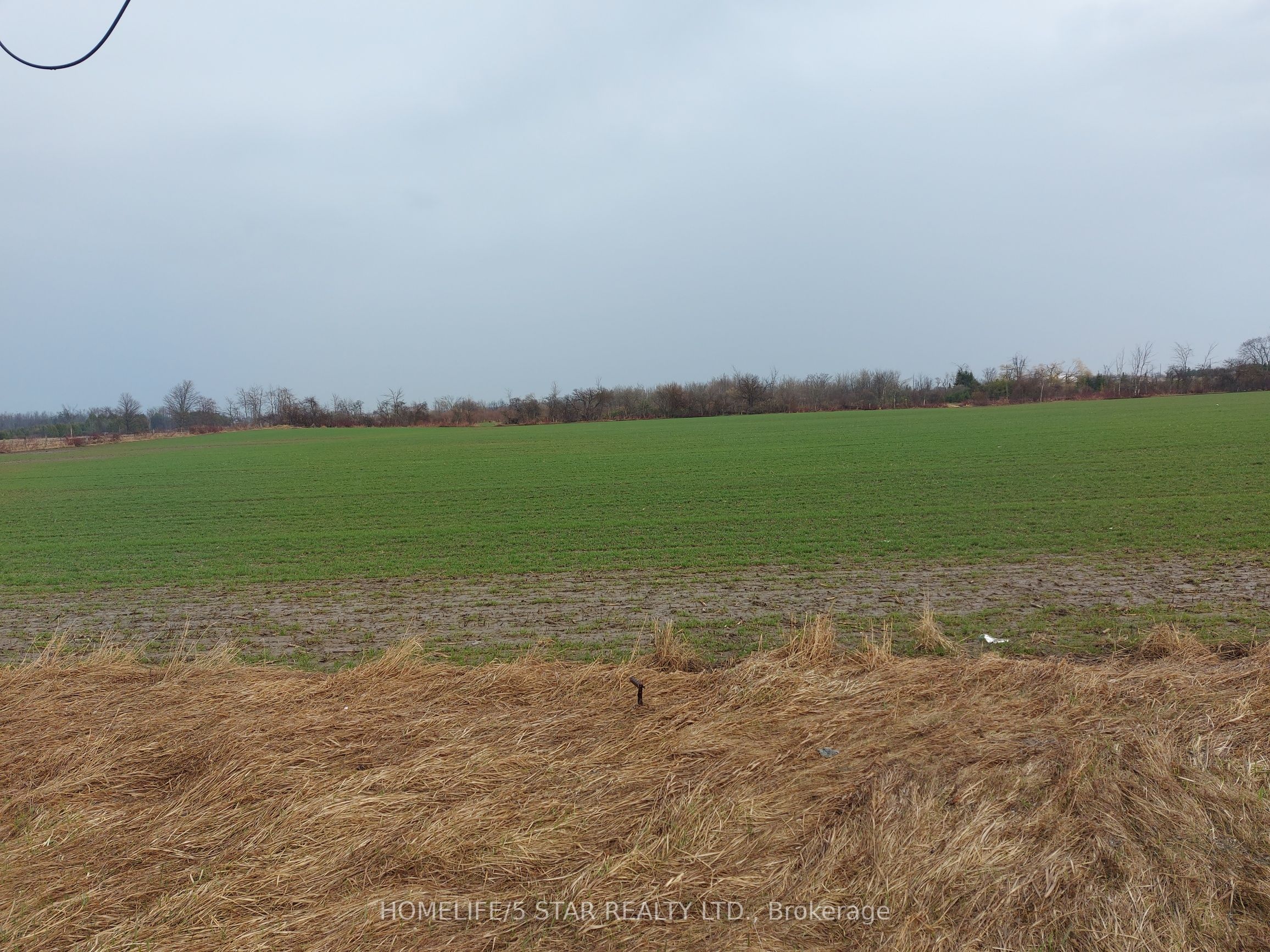 PART OF LOT 1 HIGHWAY 27 Property Photo 1