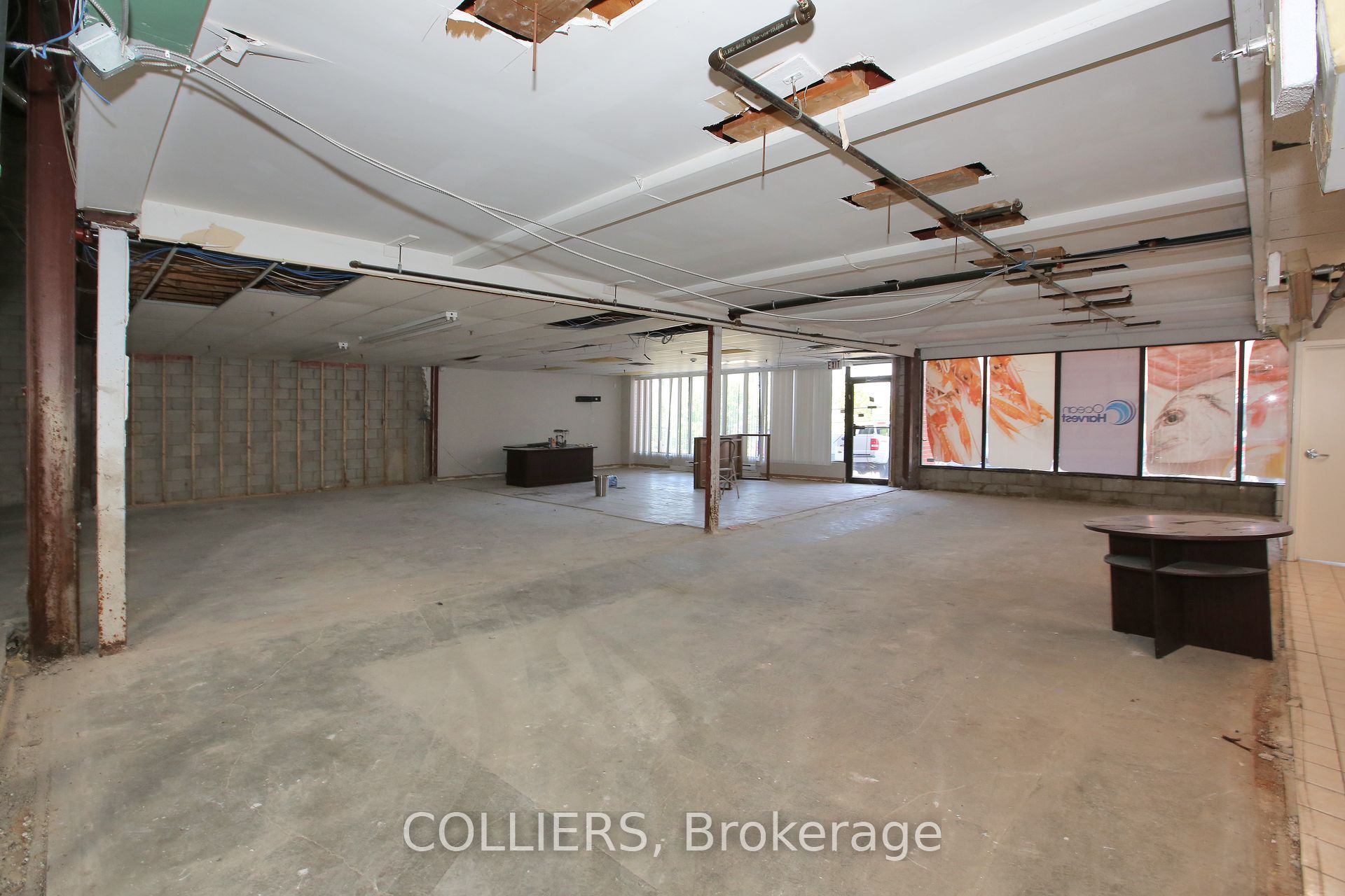 #13 - 270 Pennsylvania Avenue Property Photo 2