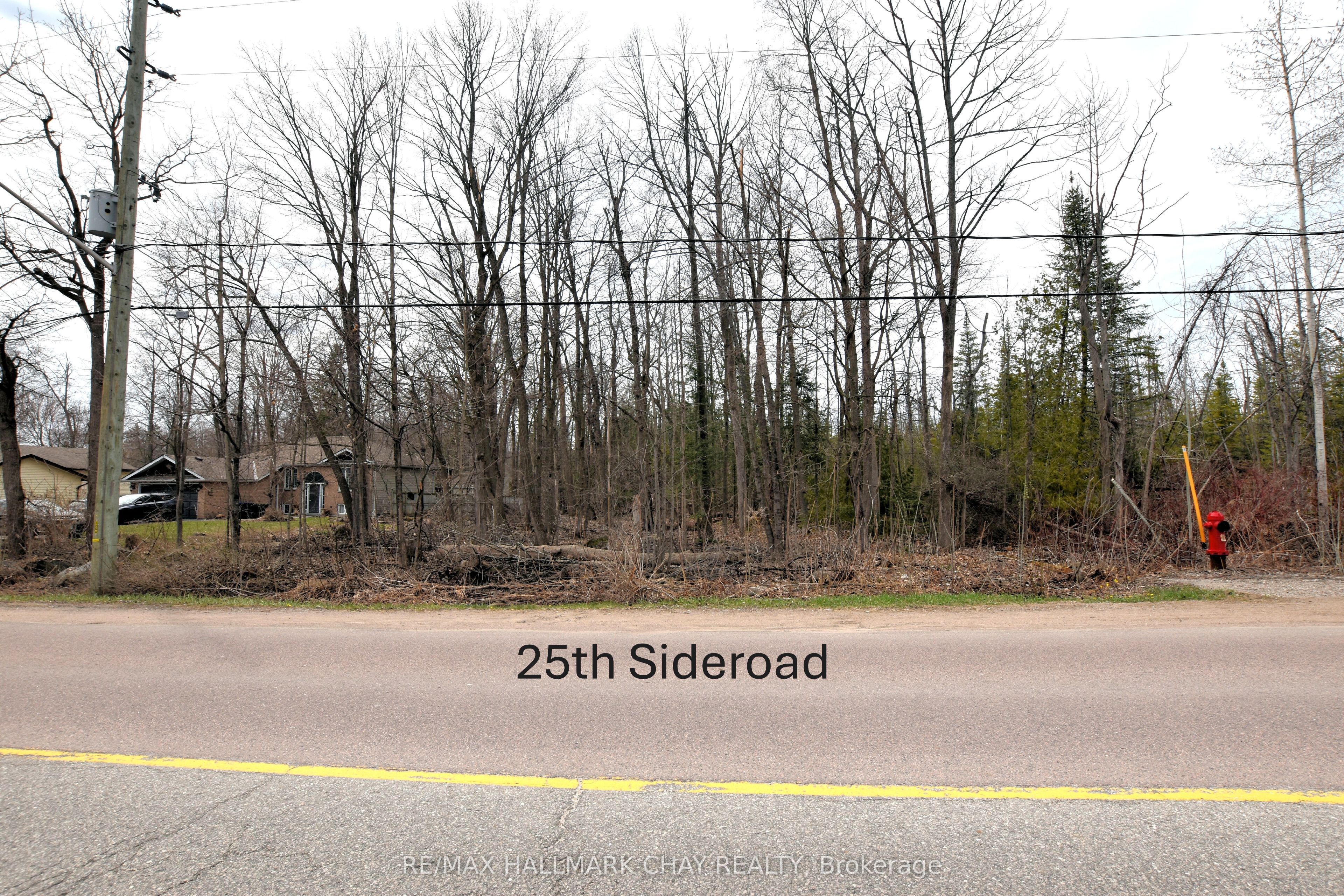 2728 25th Sideroad Property Photo 1
