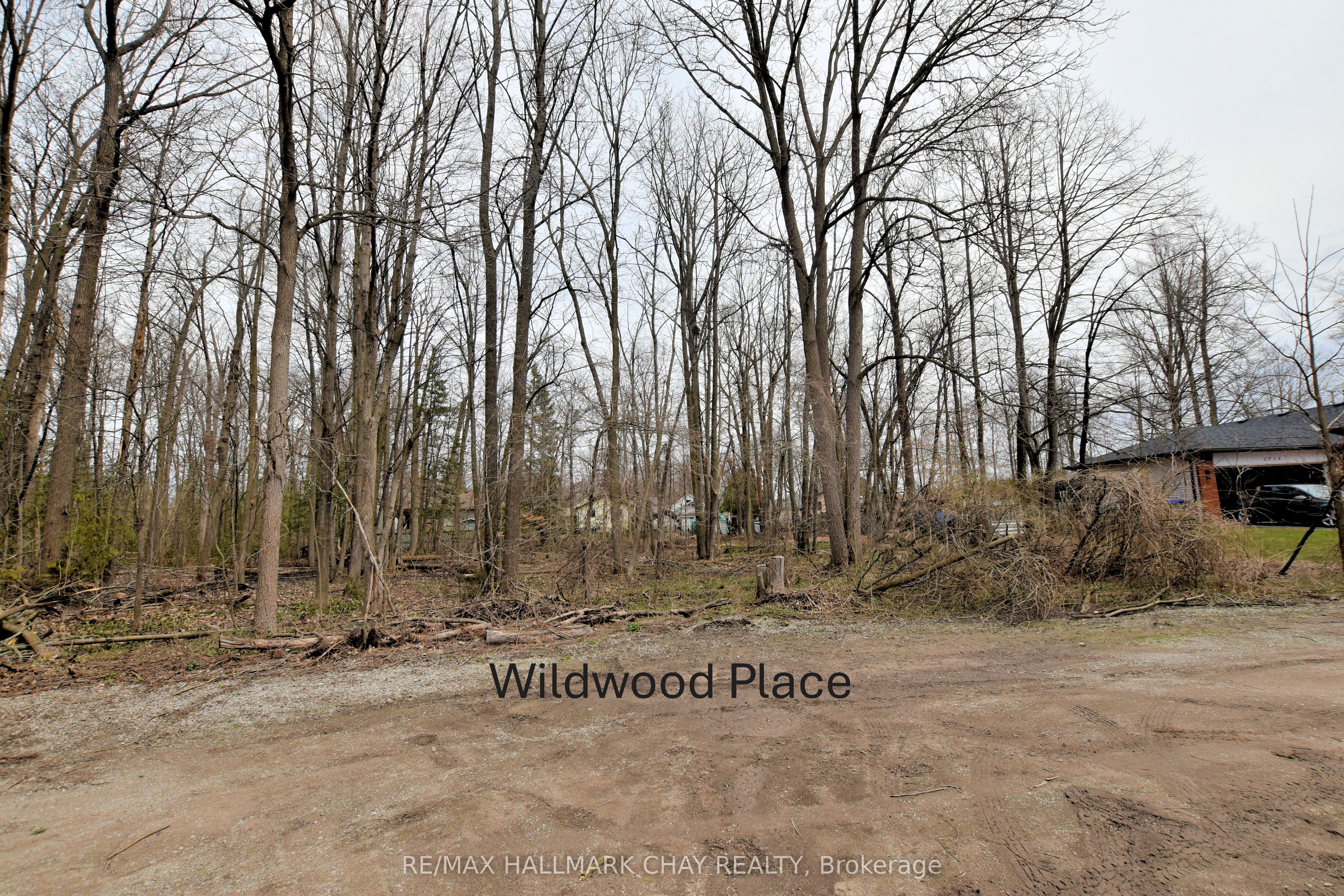 2728 25th Sideroad Property Photo 2