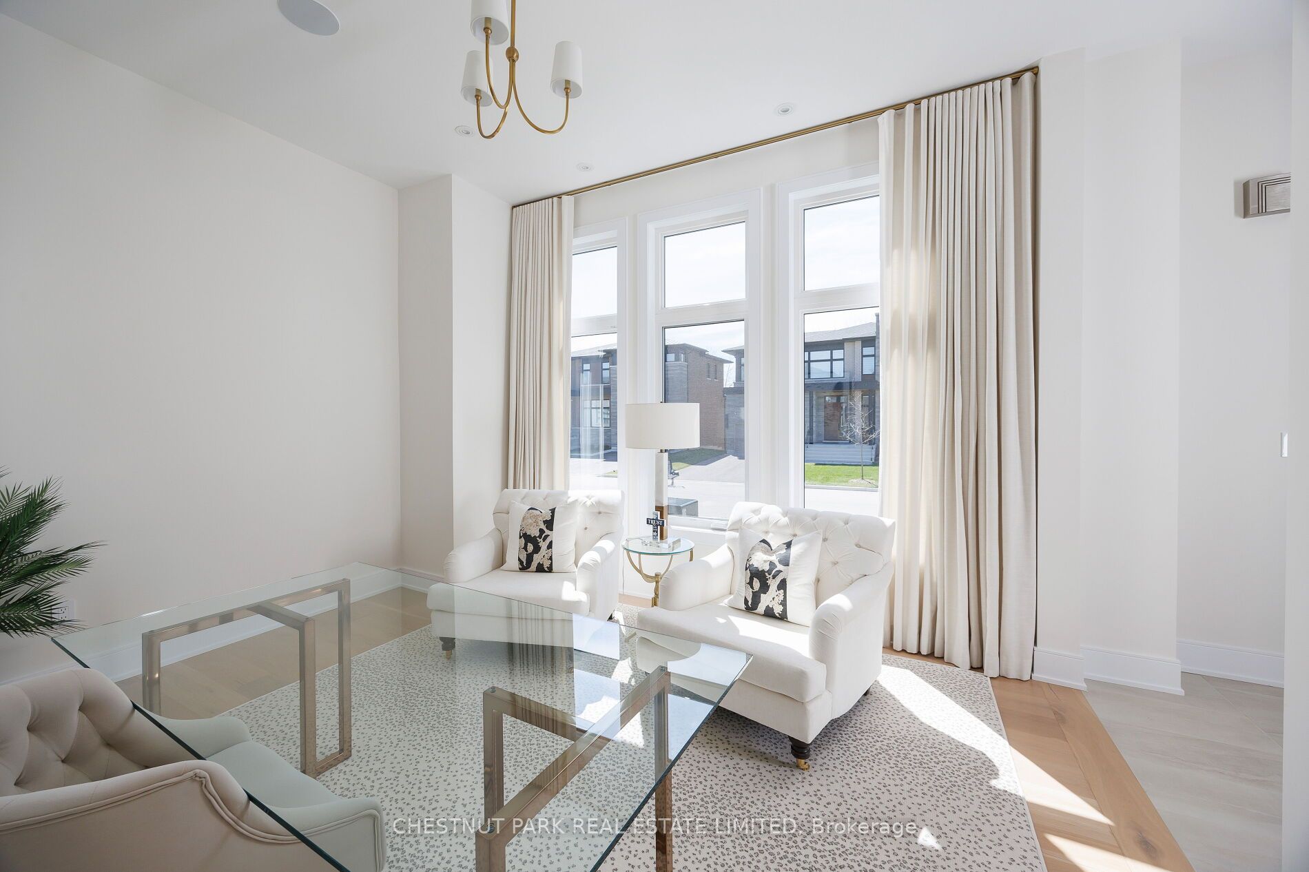 29 Limerick Street Property Photo 14
