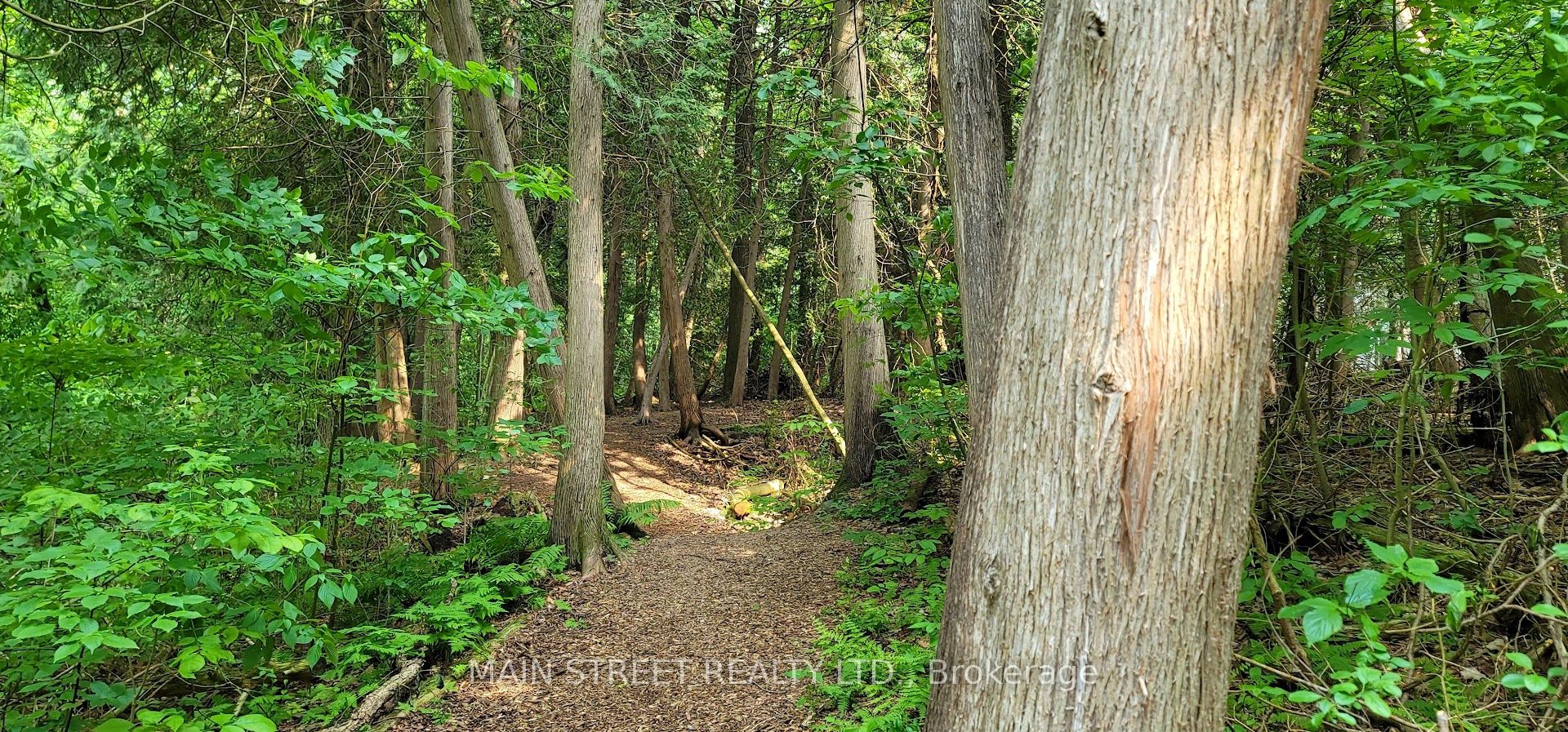 #112 - 900 Bogart Mill Trail Property Photo 35