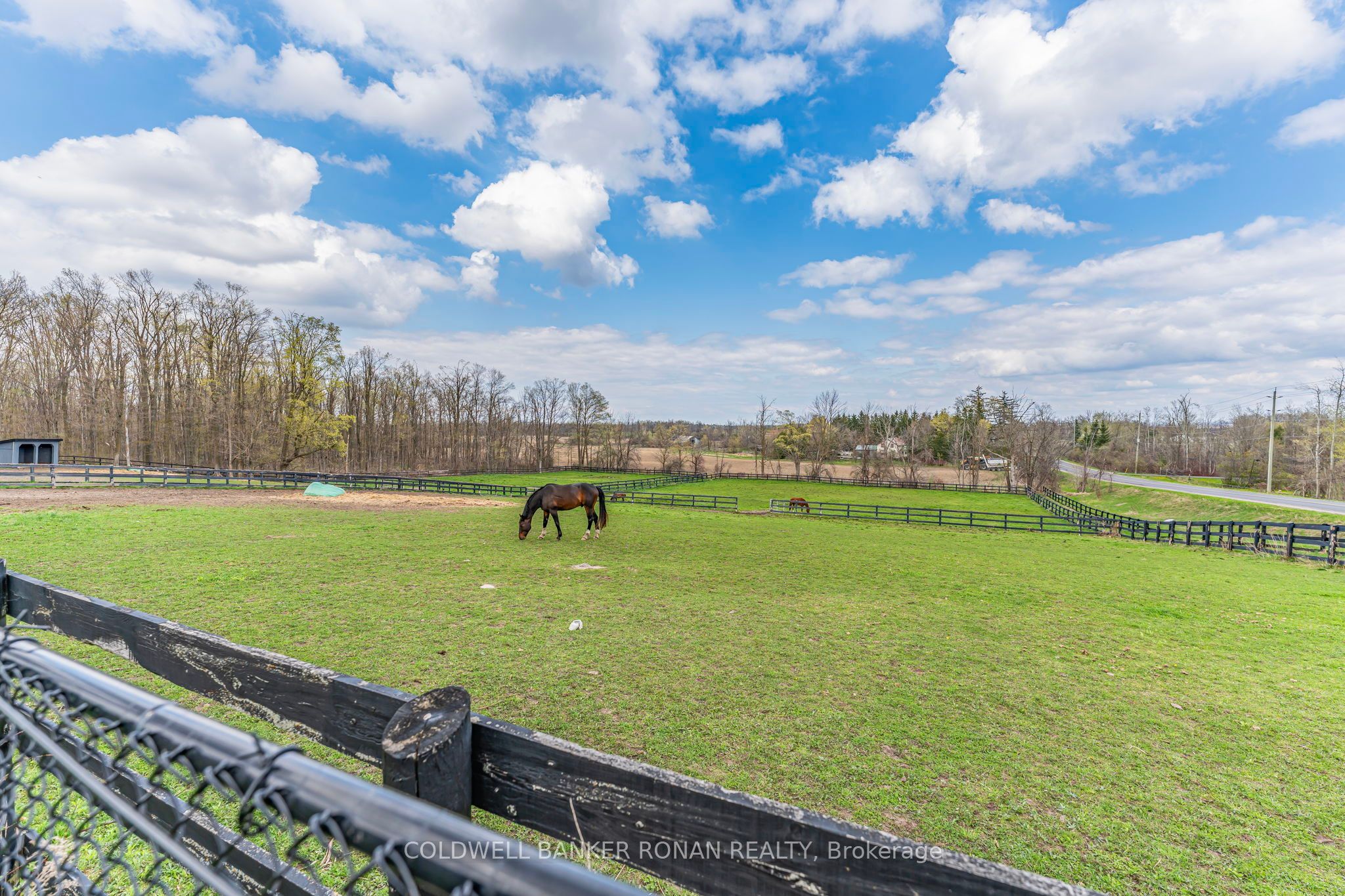 1382 10th Line Property Photo 46