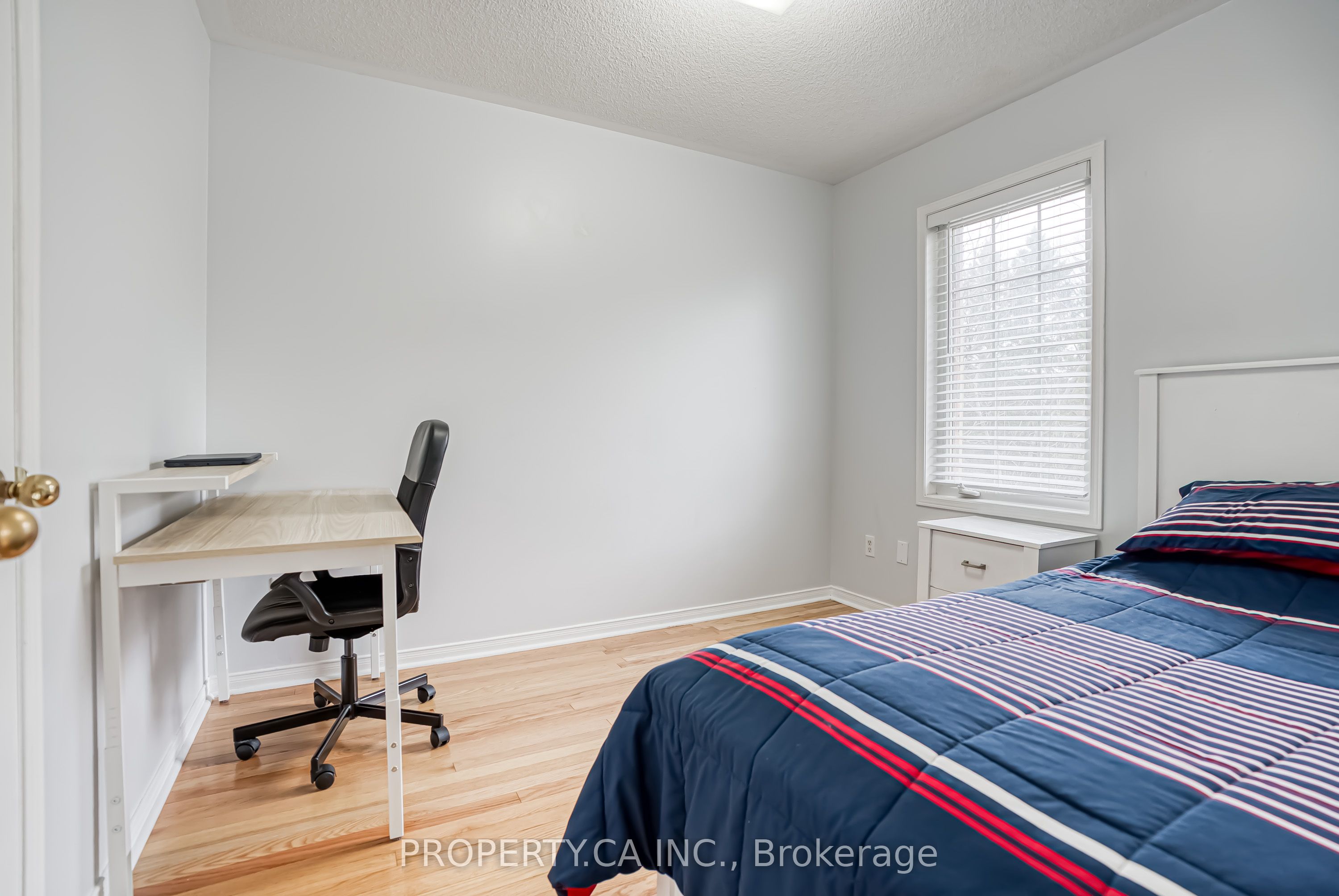 2 Horn Street Property Photo 23