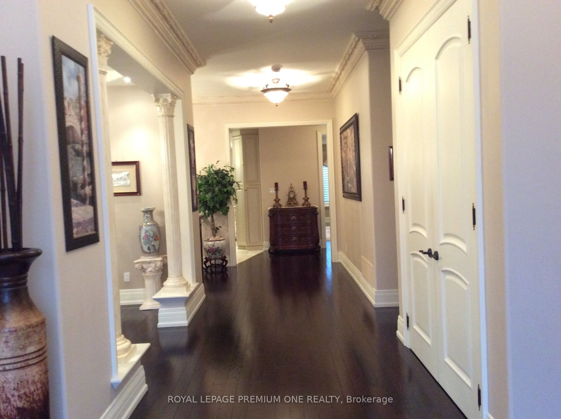15 Frini Court Property Photo 6