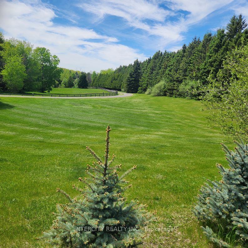 15600 7th Concession Road Property Photo 5