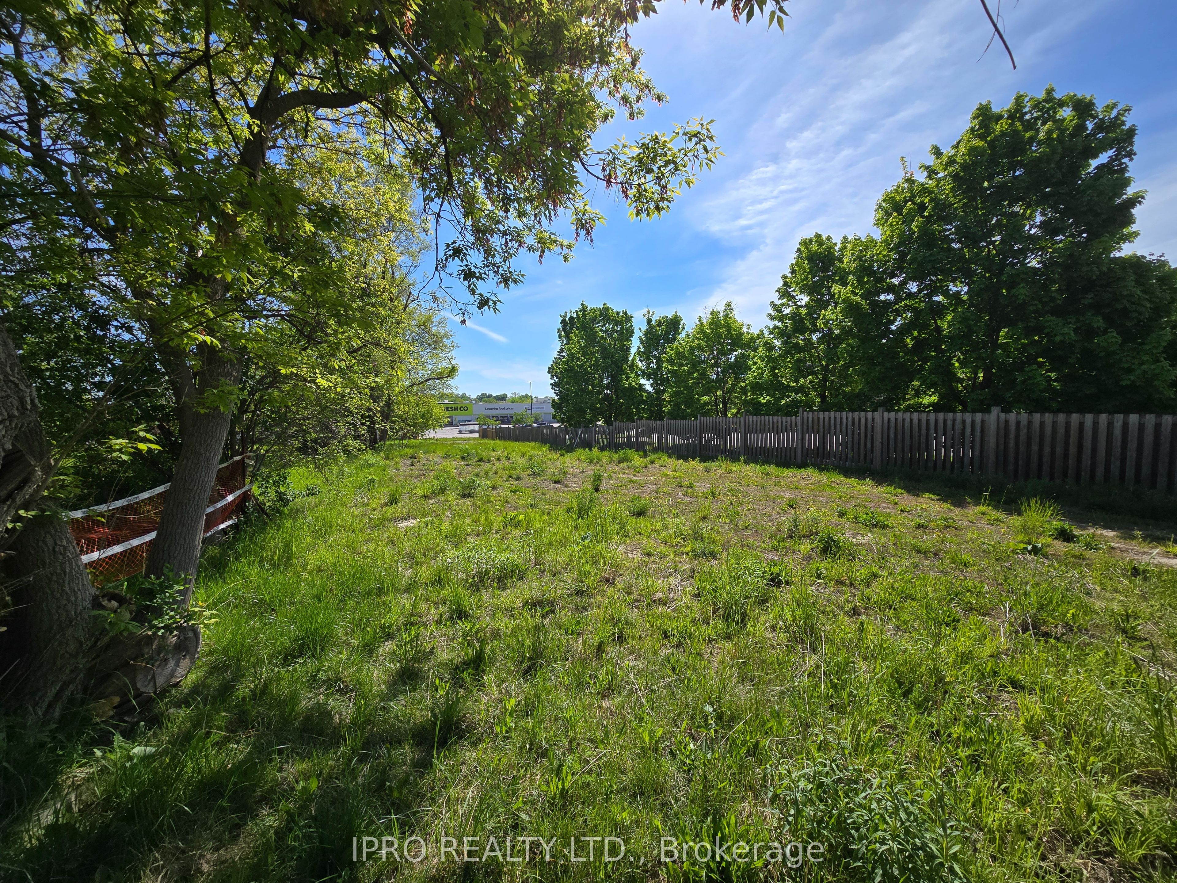 455 The Queensway Property Photo 4