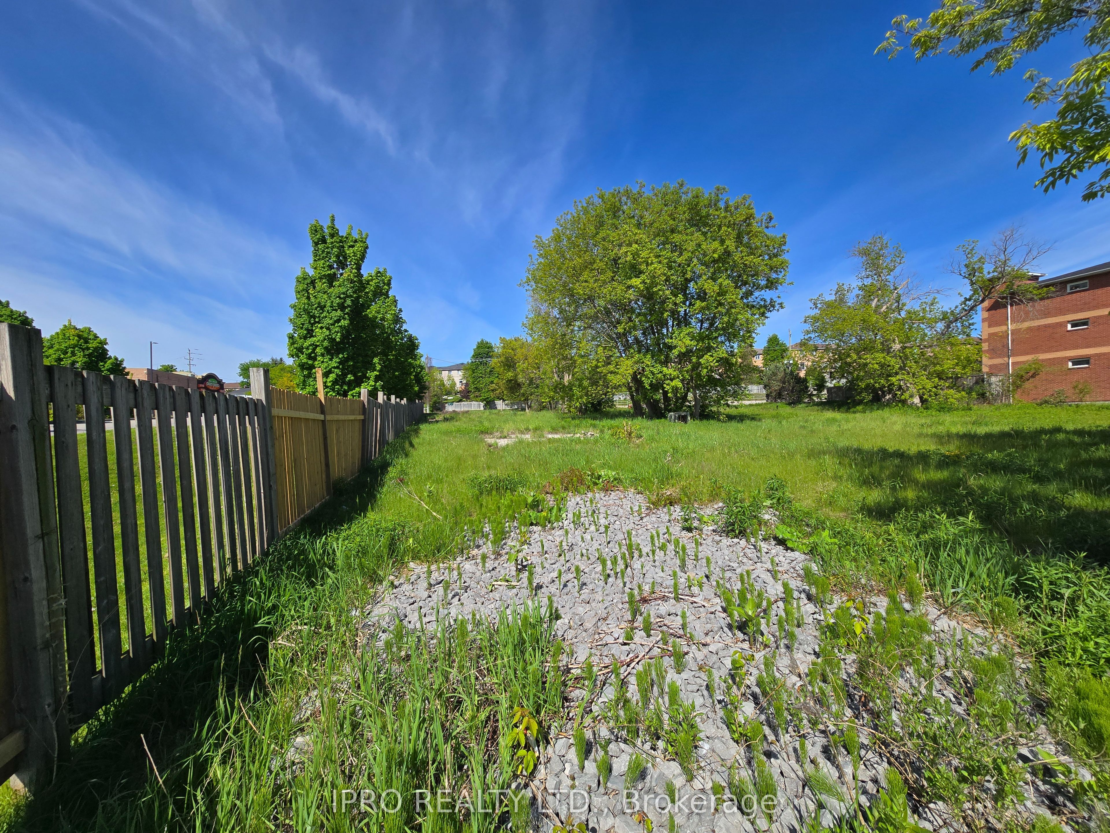 455 The Queensway Property Photo 5