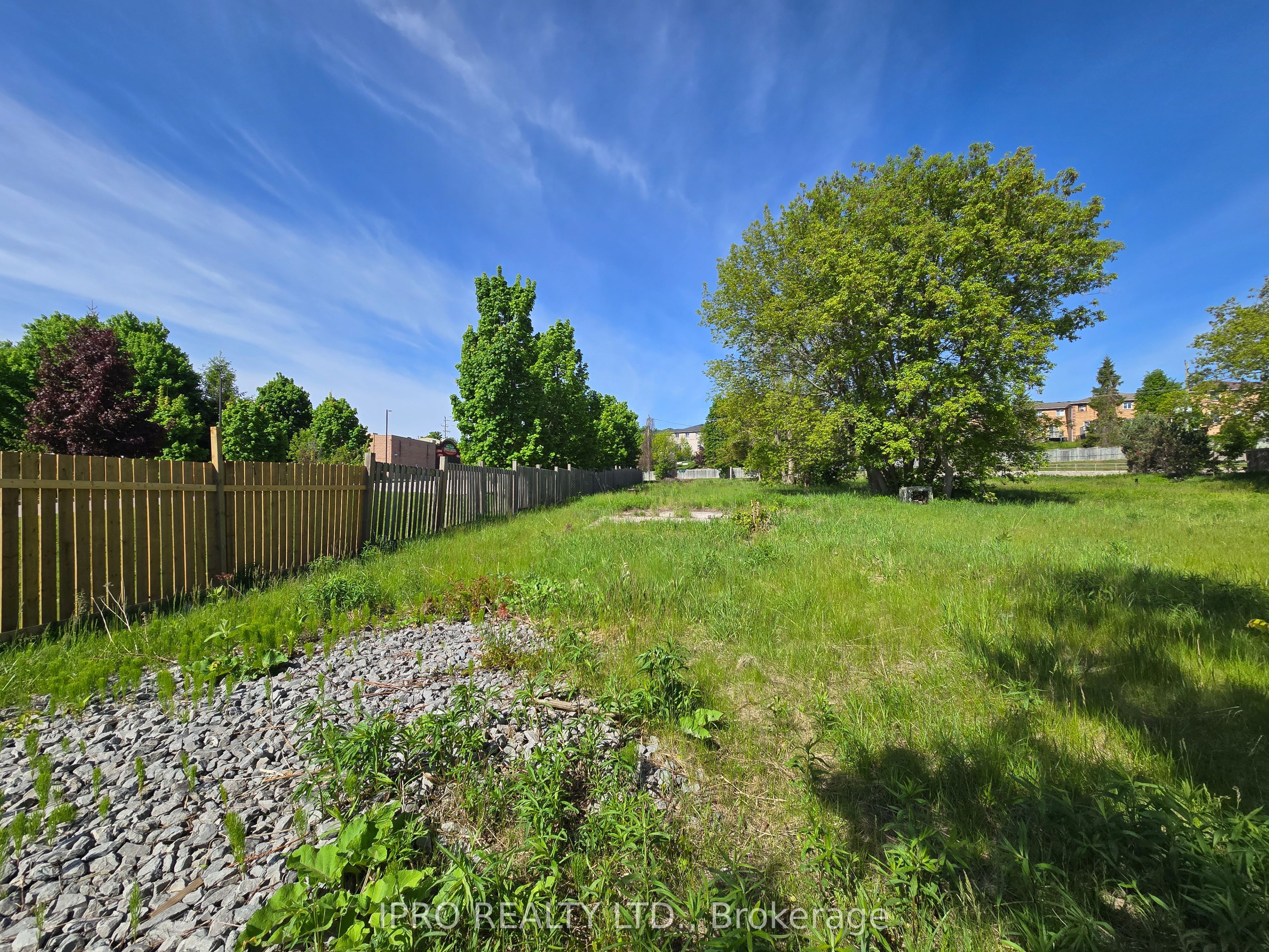 455 The Queensway Property Photo 6