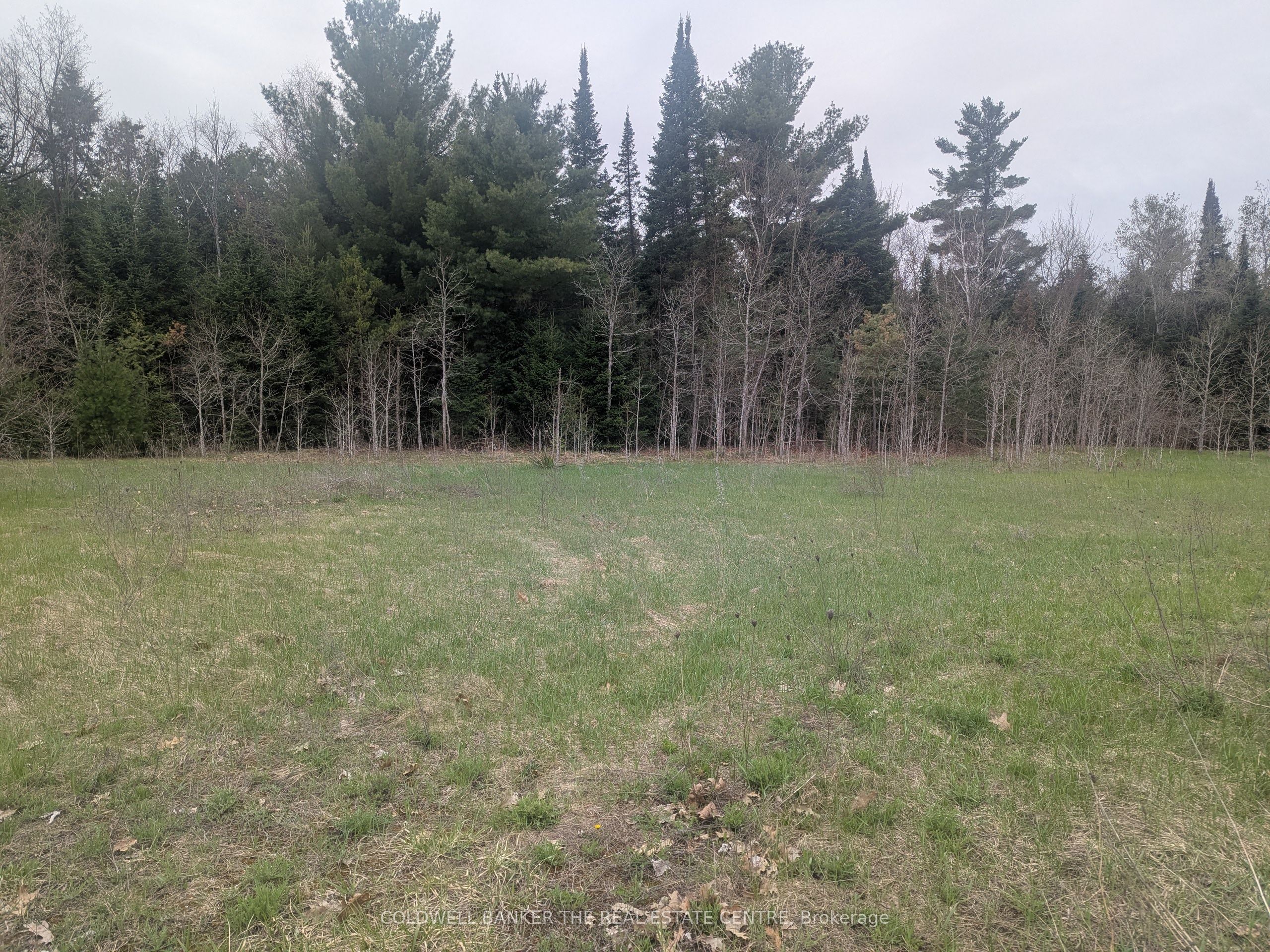 8 Tioga Boulevard Property Photo 2