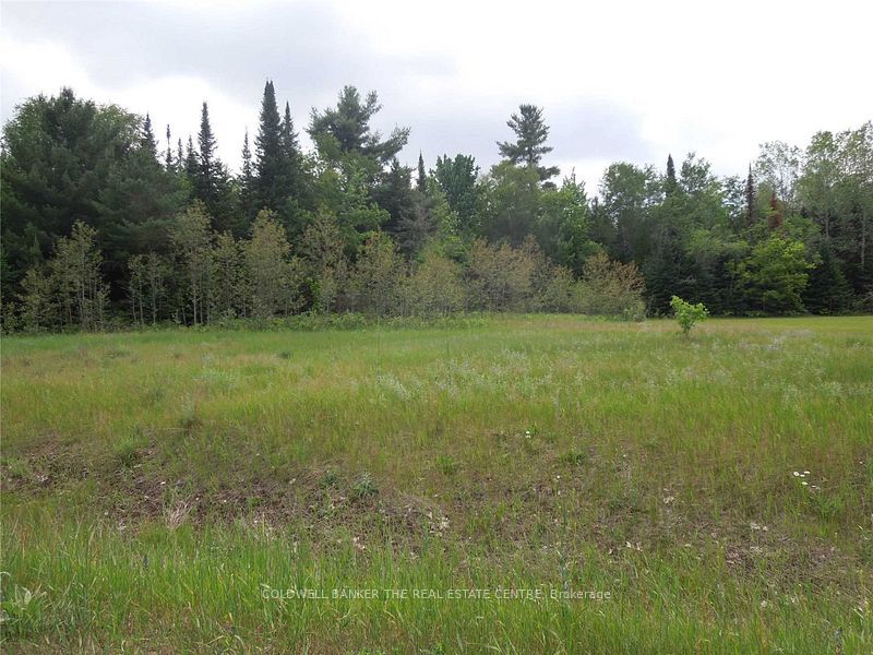 8 Tioga Boulevard Property Photo 3