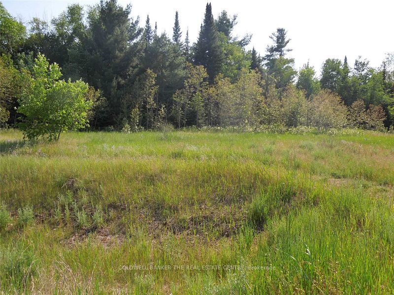 8 Tioga Boulevard Property Photo 4