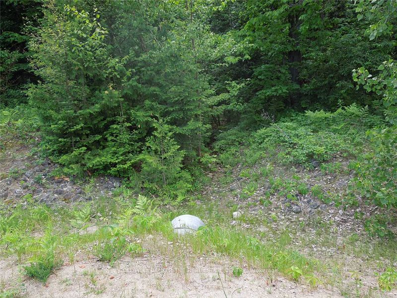 8 Tioga Boulevard Property Photo 7